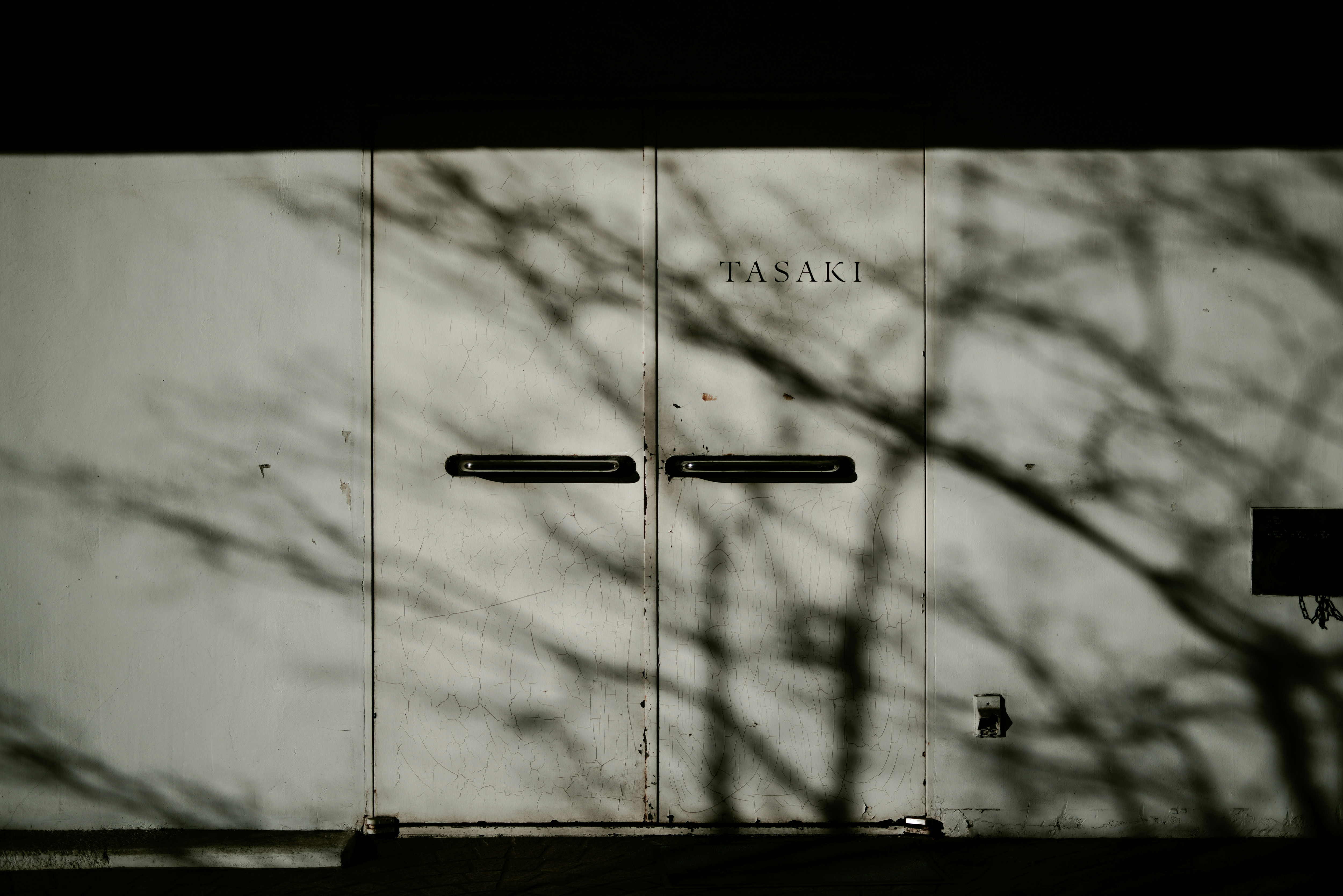 2026-06-door-image-4
