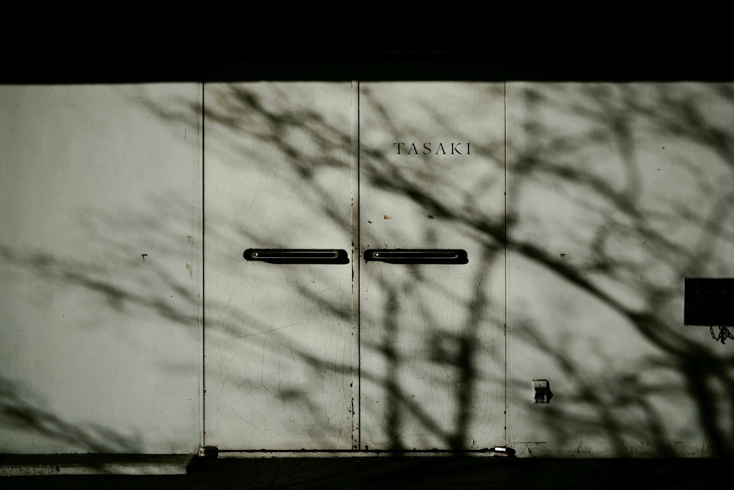 2026-06-door-image-4