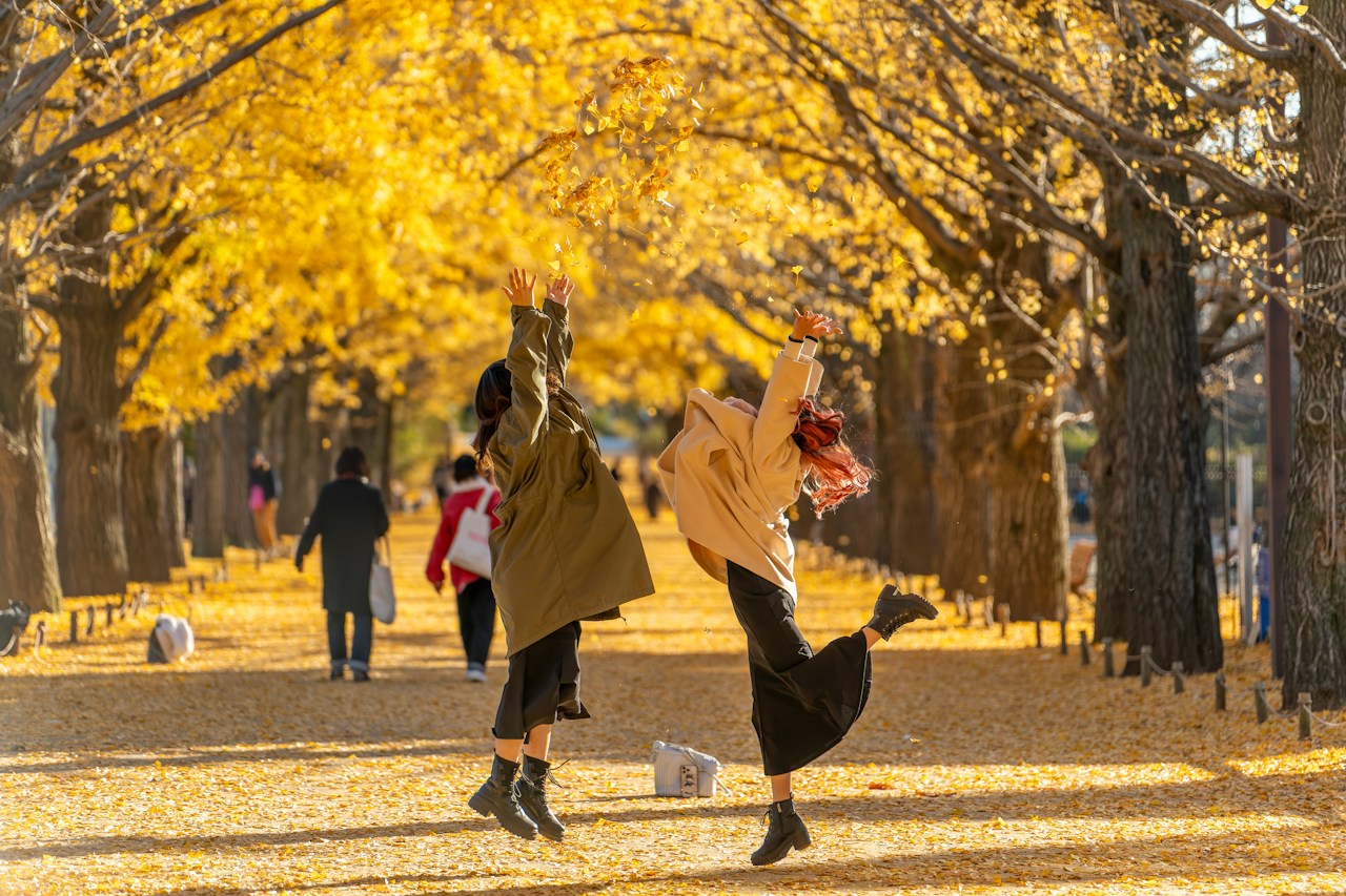 Photo by ぽせいどん