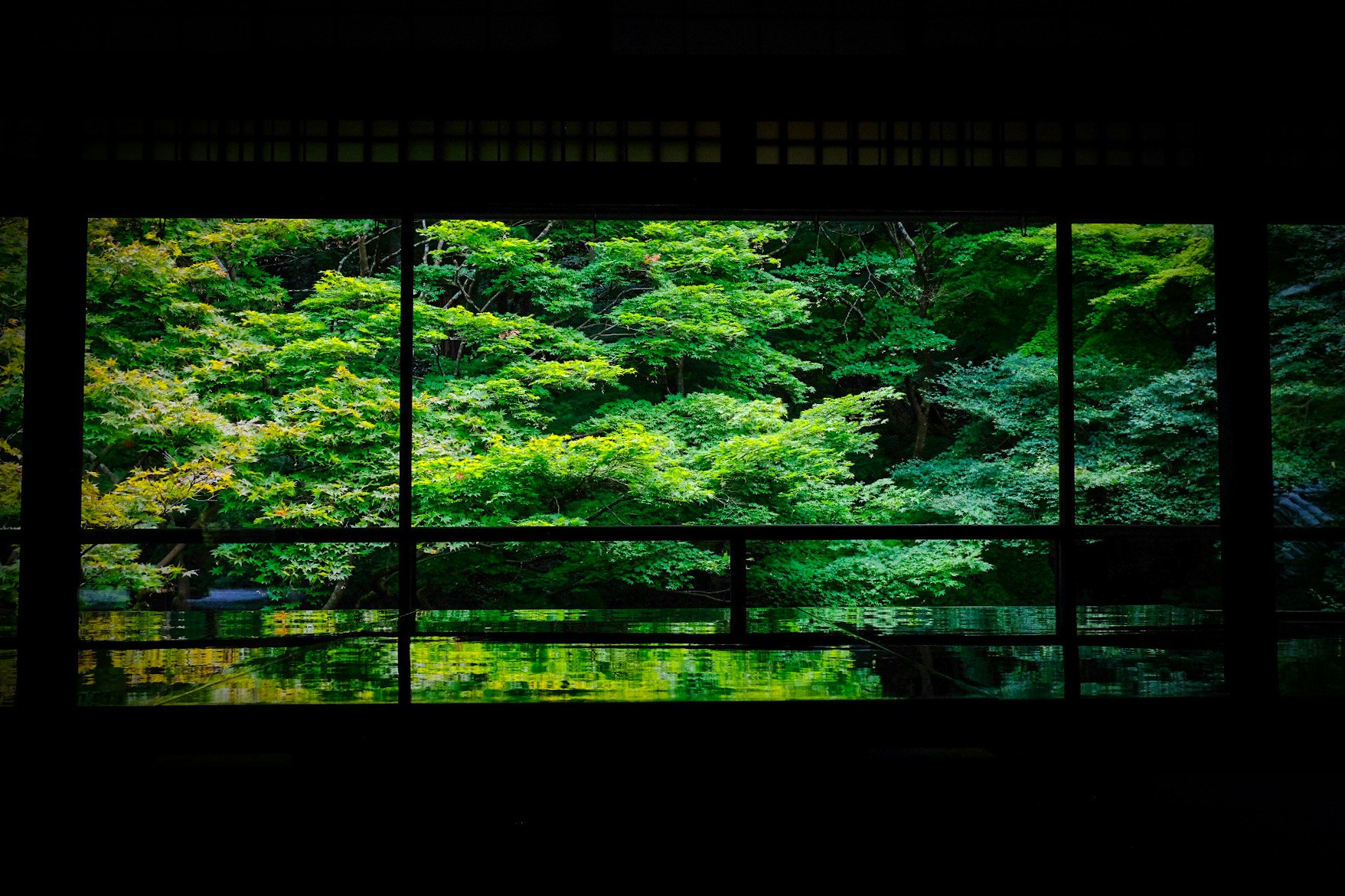 2026-02-frame-image-5