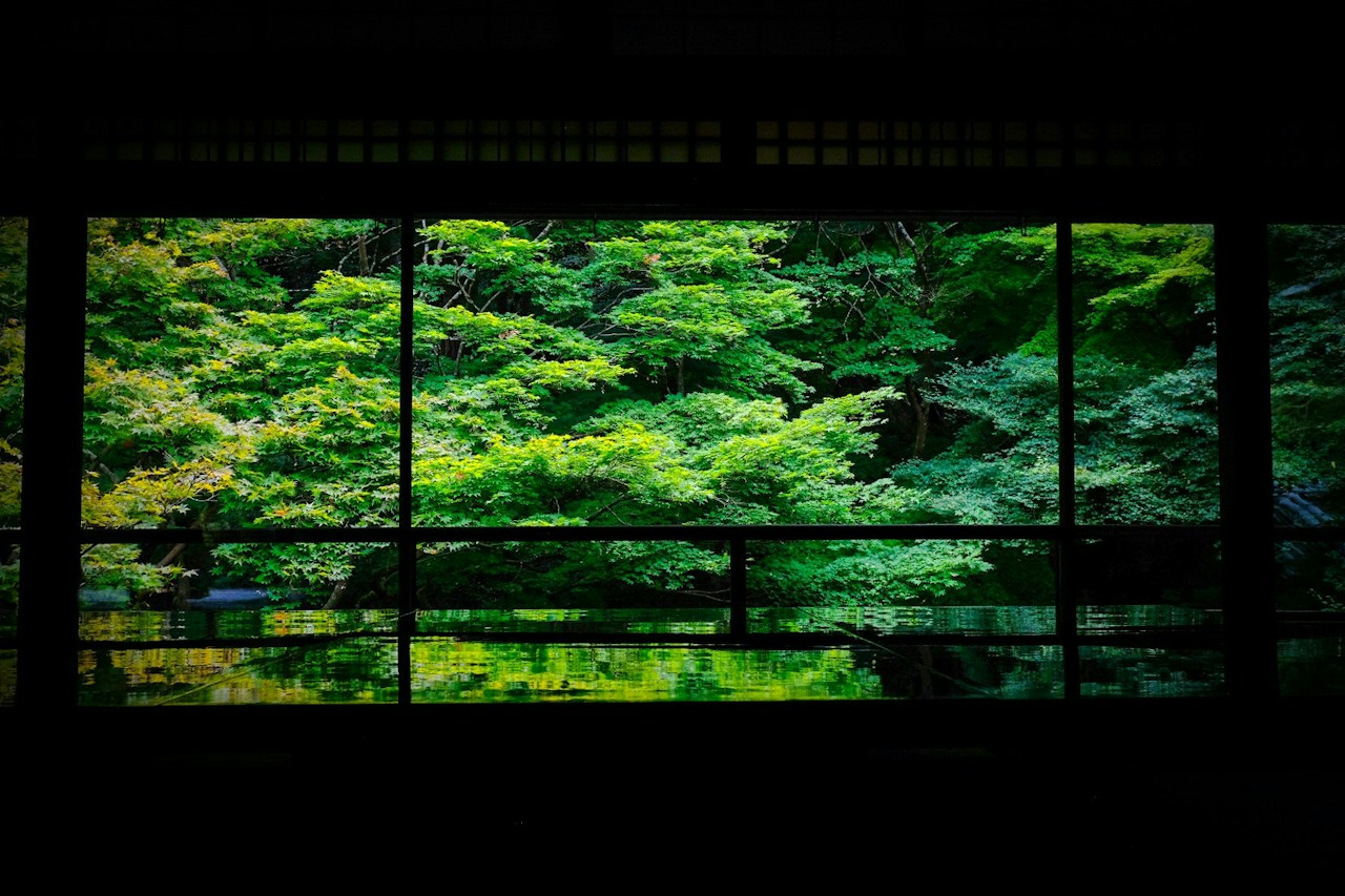 Photo by fucha