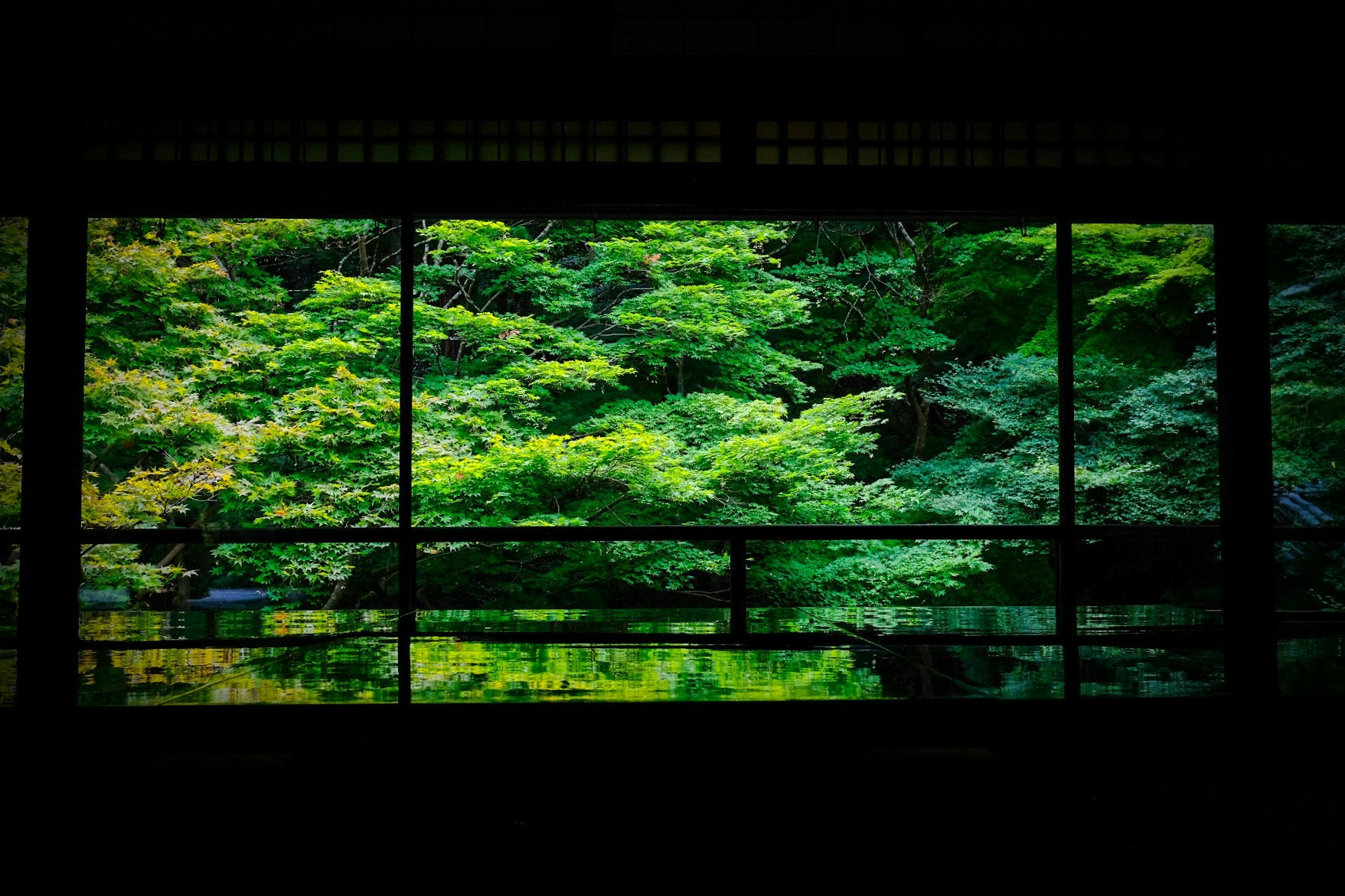2026-02-frame-image-5