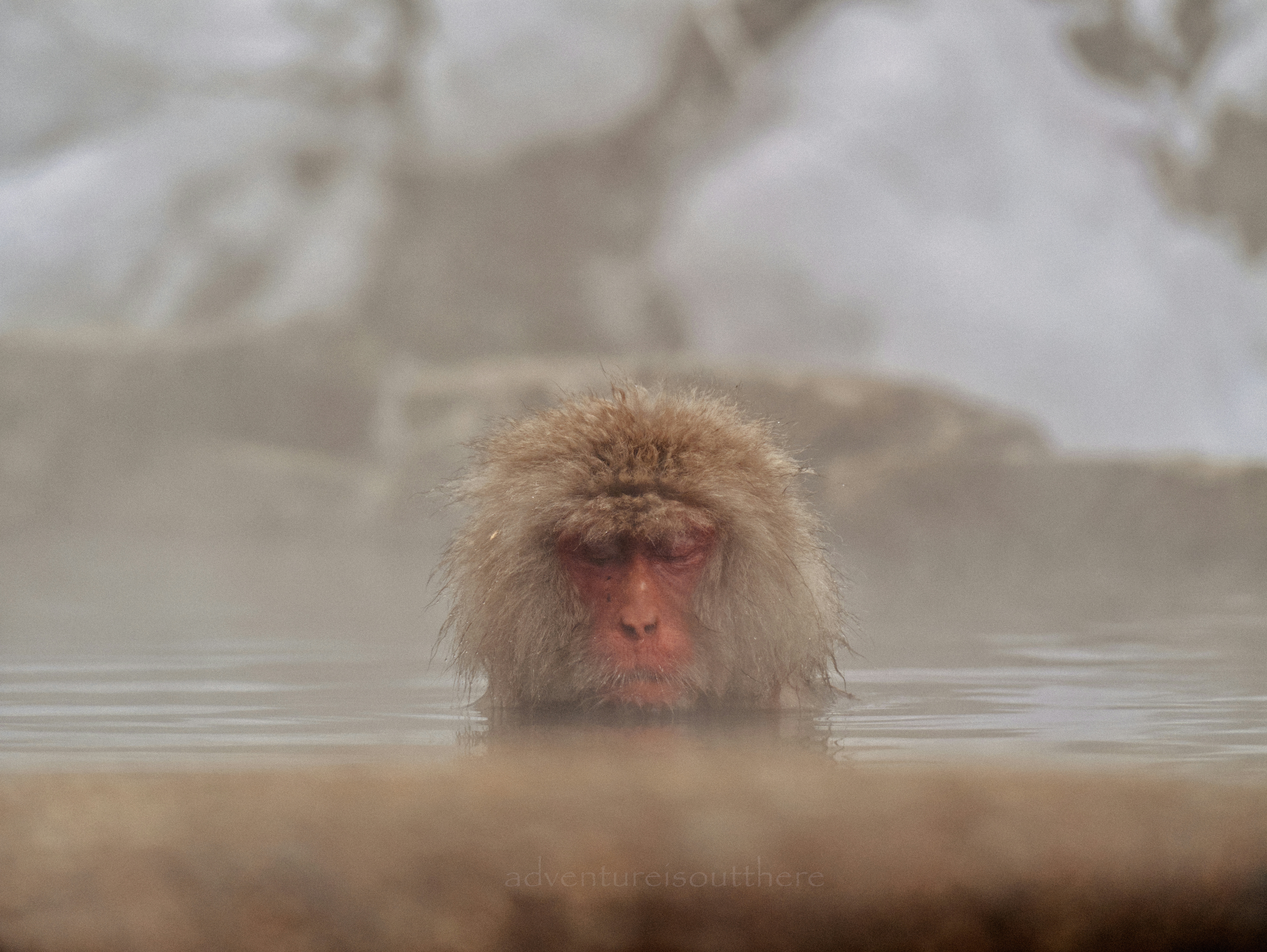 2026-01-find-new-pieces-winter-image-23