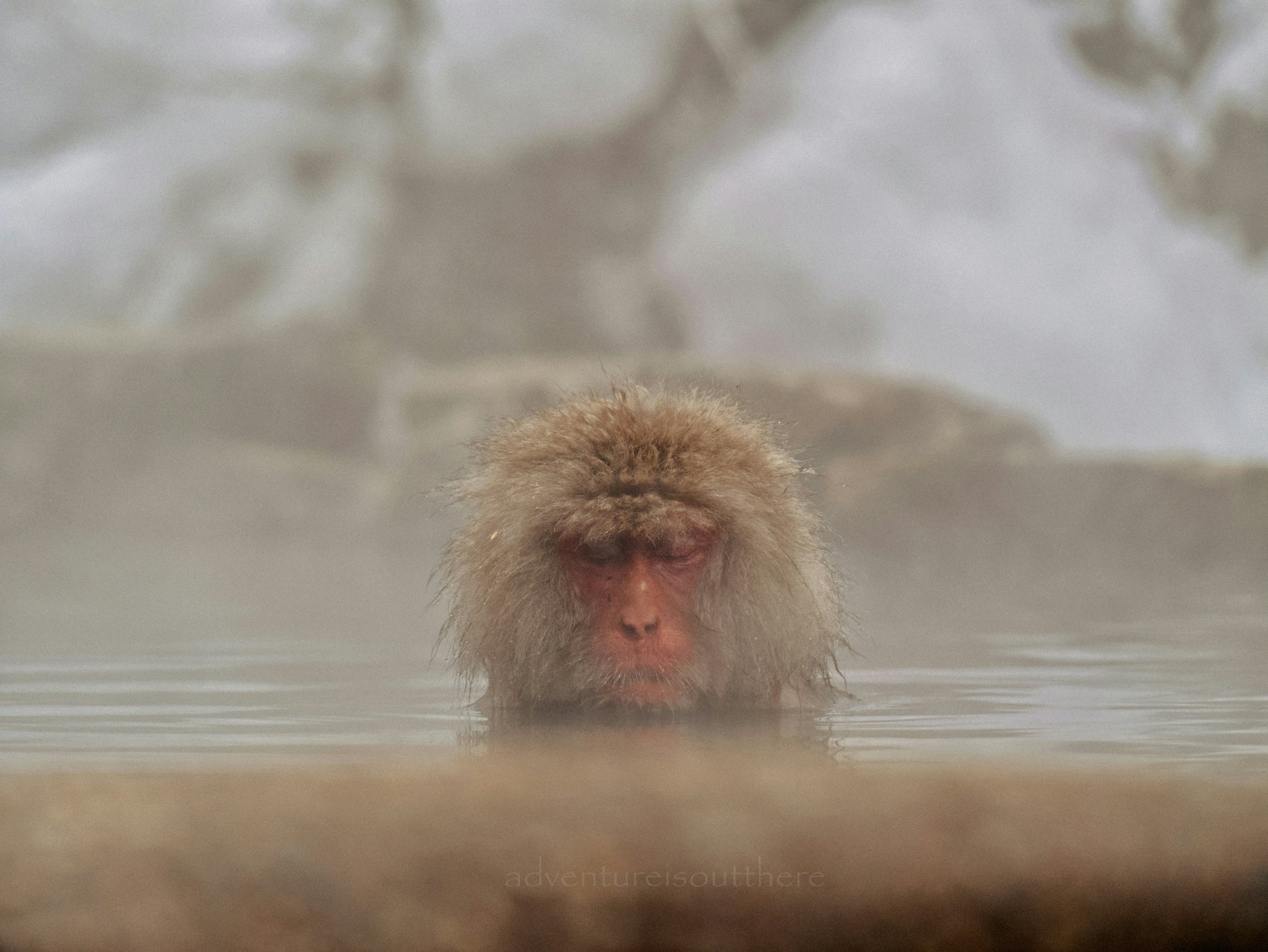 2026-01-find-new-pieces-winter-image-23