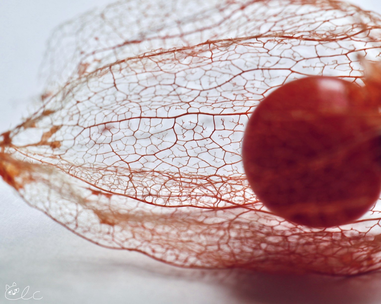 2023-10-inspirations-come-from-rules-image-9