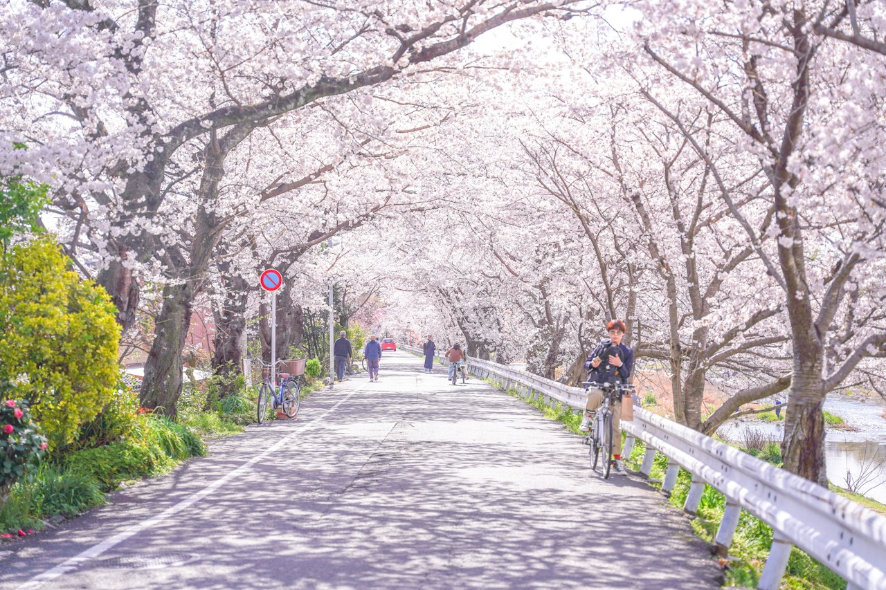 image by らっしぃ