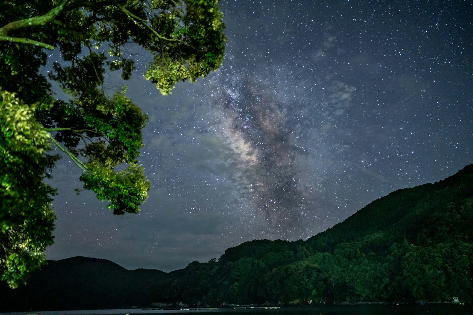 2025-08-night-cruising-image-6