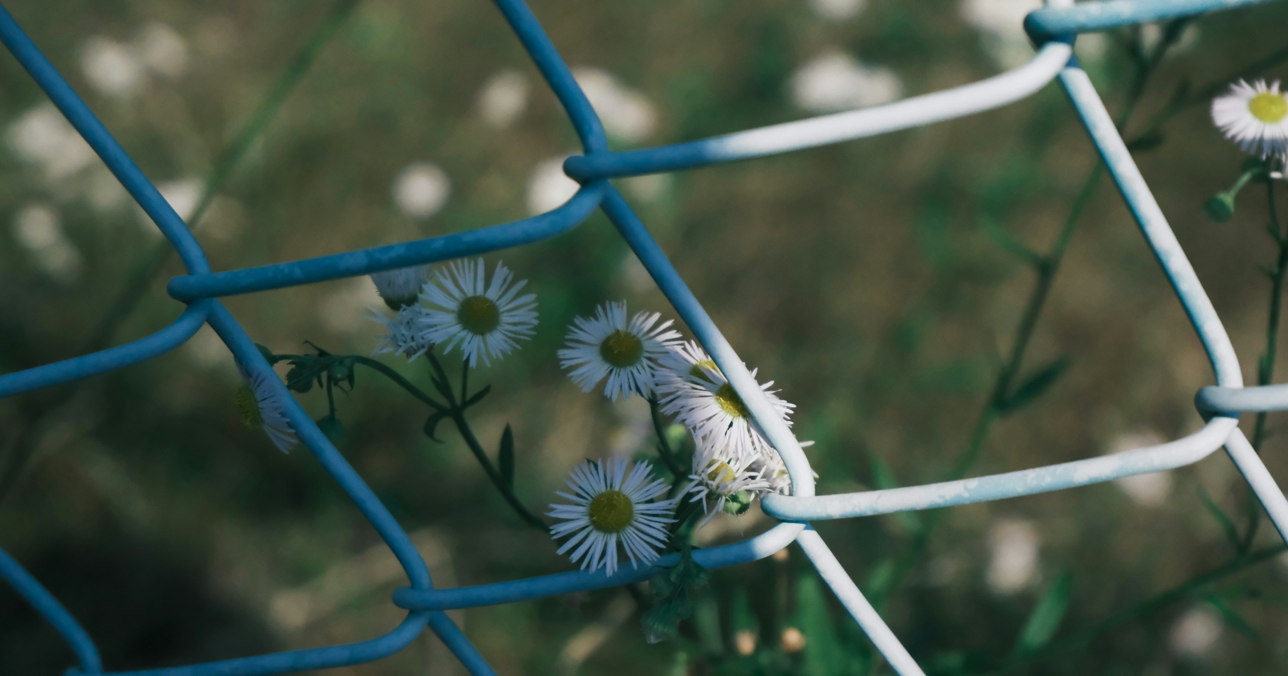 Threads 発掘企画 | find new pieces『FUJIFILM』| まだ見ぬ才能に出会う | Focus #701