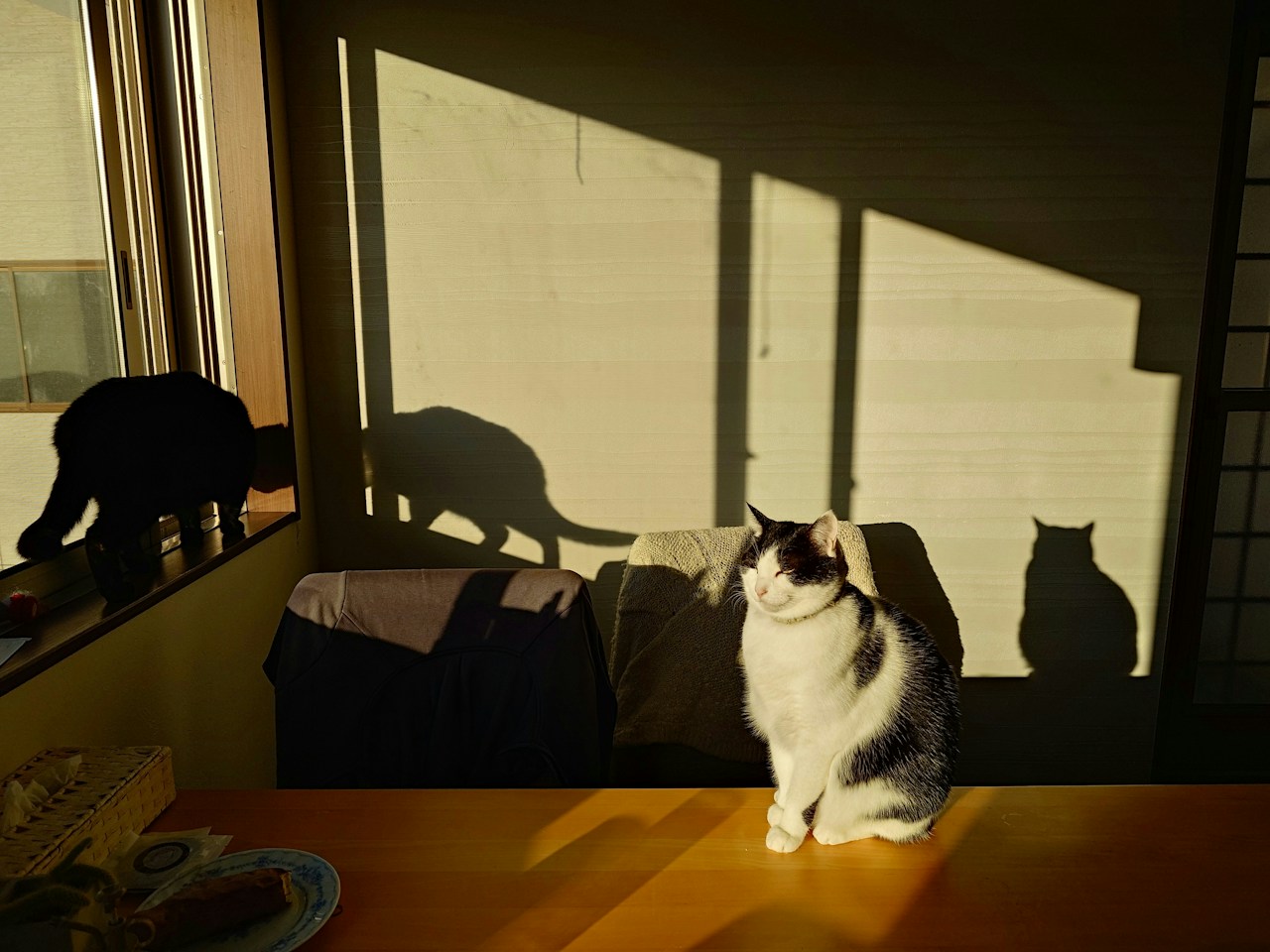 Photo by sasuke