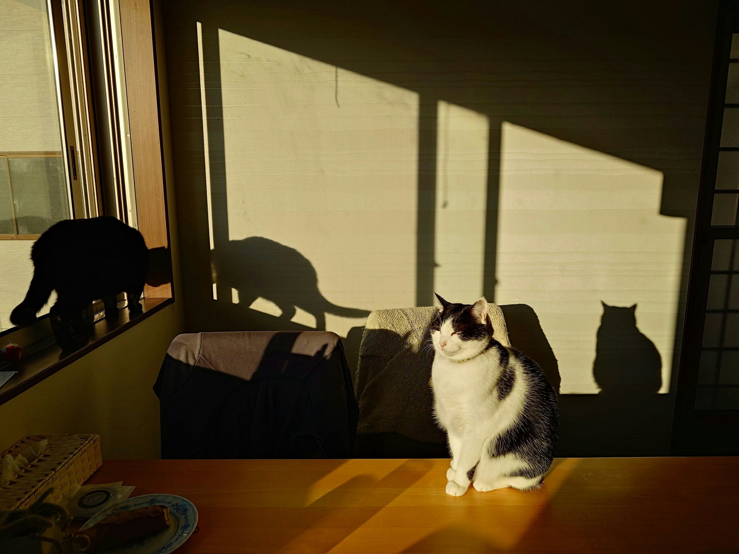 2026-03-animal-image-6