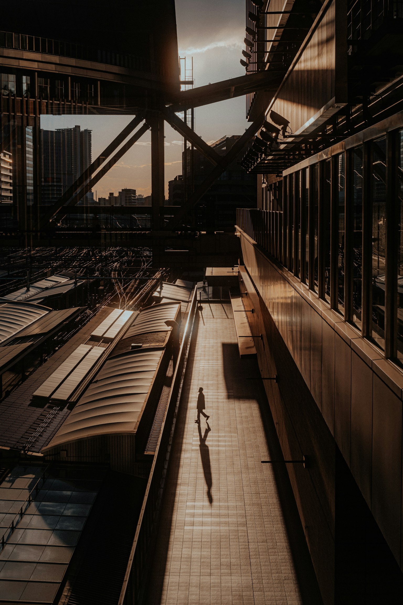 2024-11-umeda-camera-stores-image-2