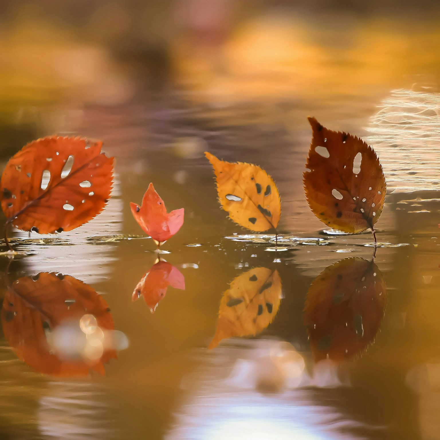2025-03-reflection-cover-image