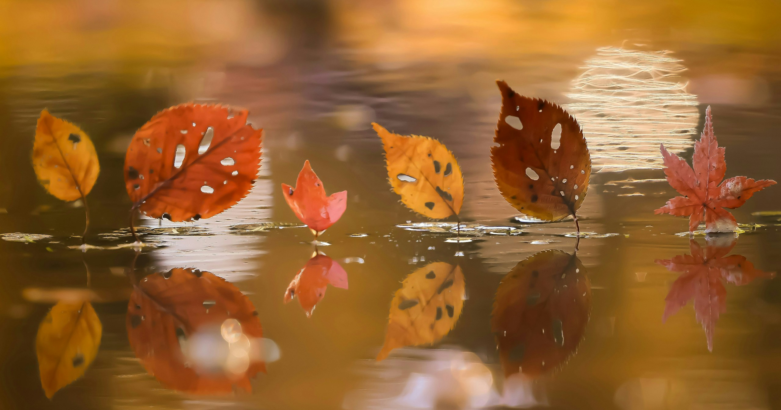 #reflection | กล้องจะไม่ทำงานหากไม่มีการสะท้อน | Focus #419