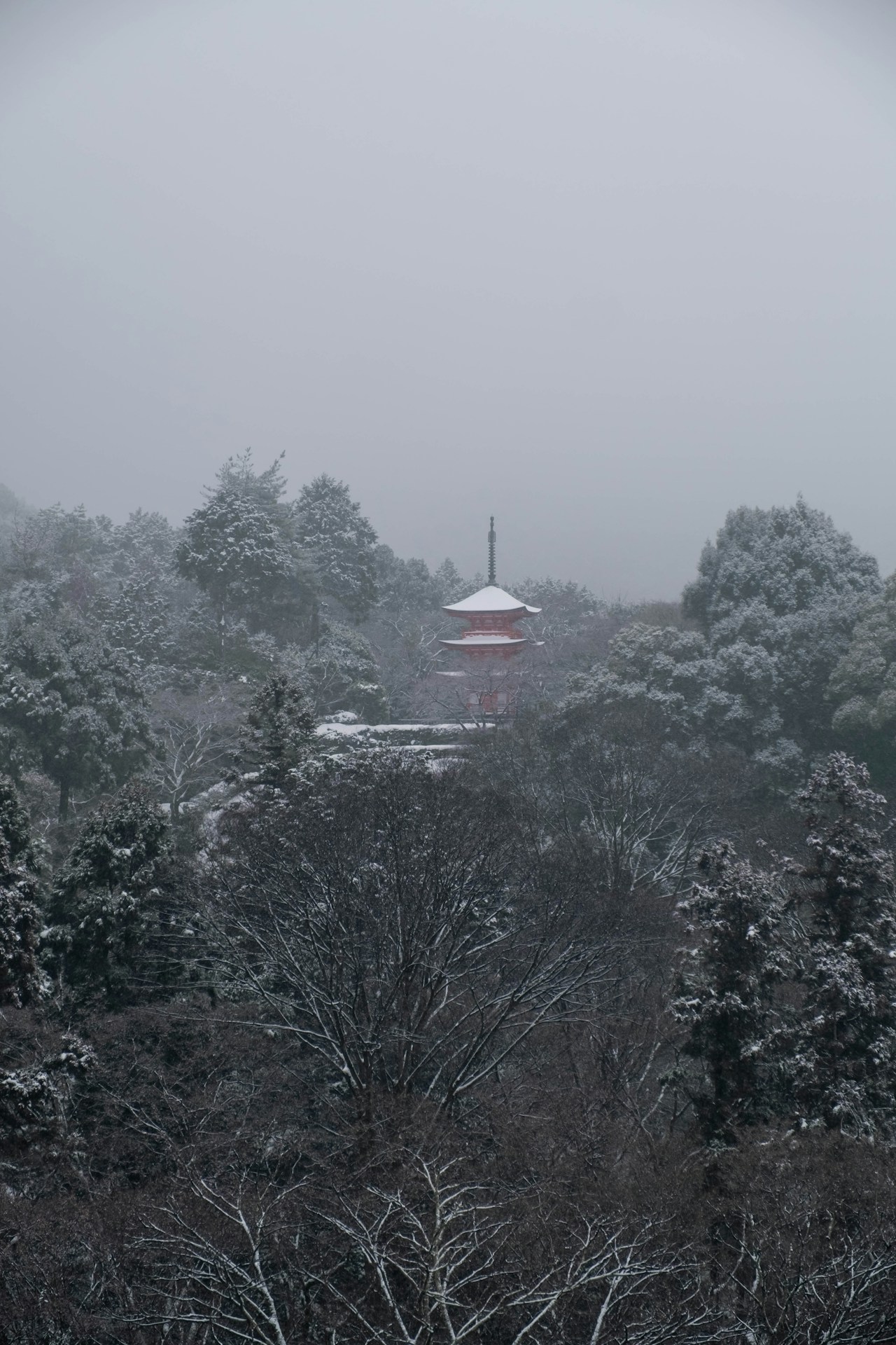 Image by yasufumi
