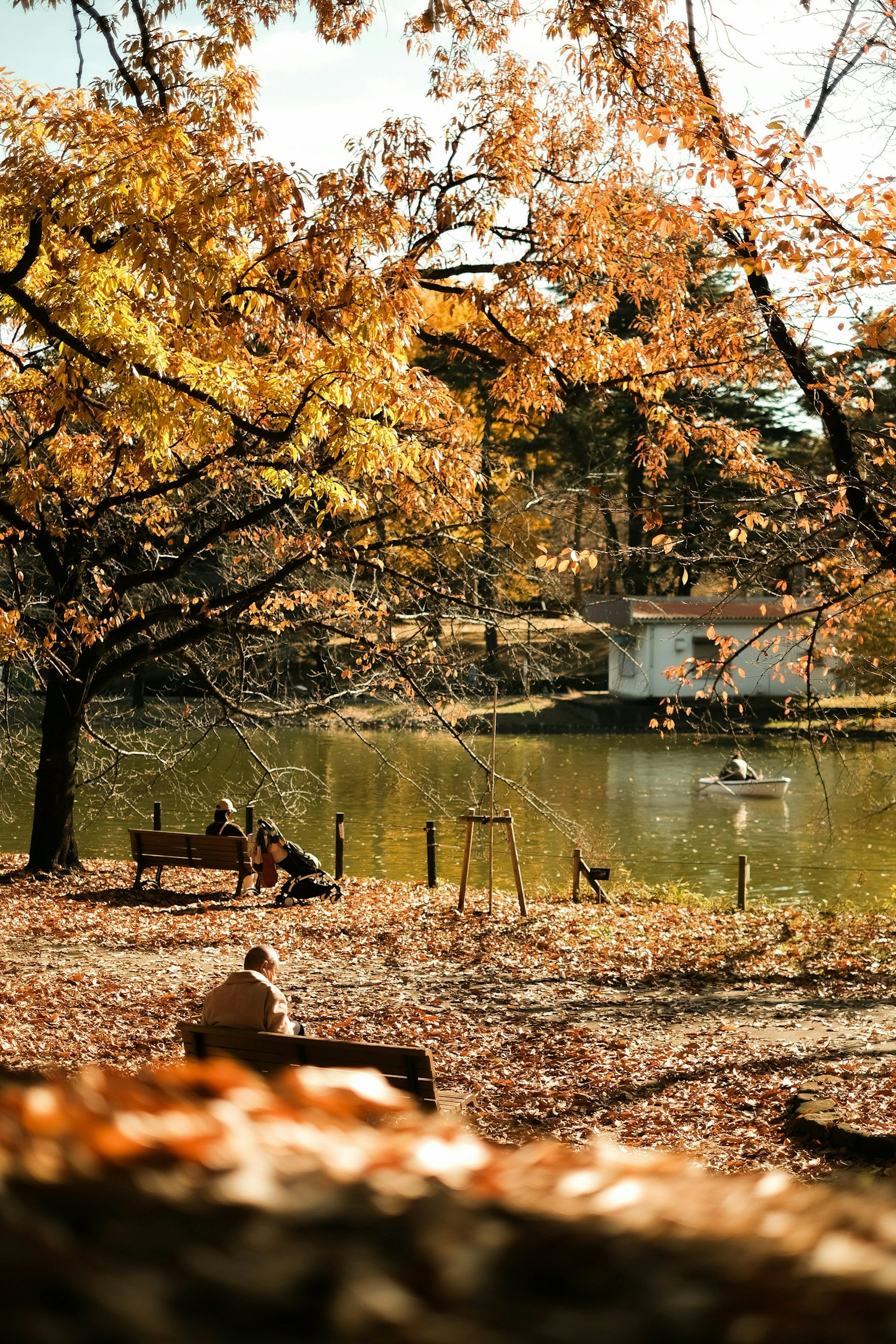 2025-01-streetsnap-image-5
