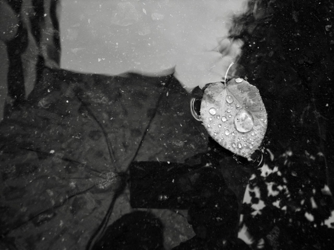 Image by m*style