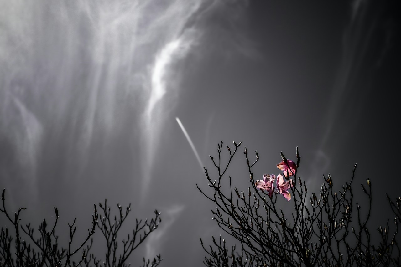 Image by eriko