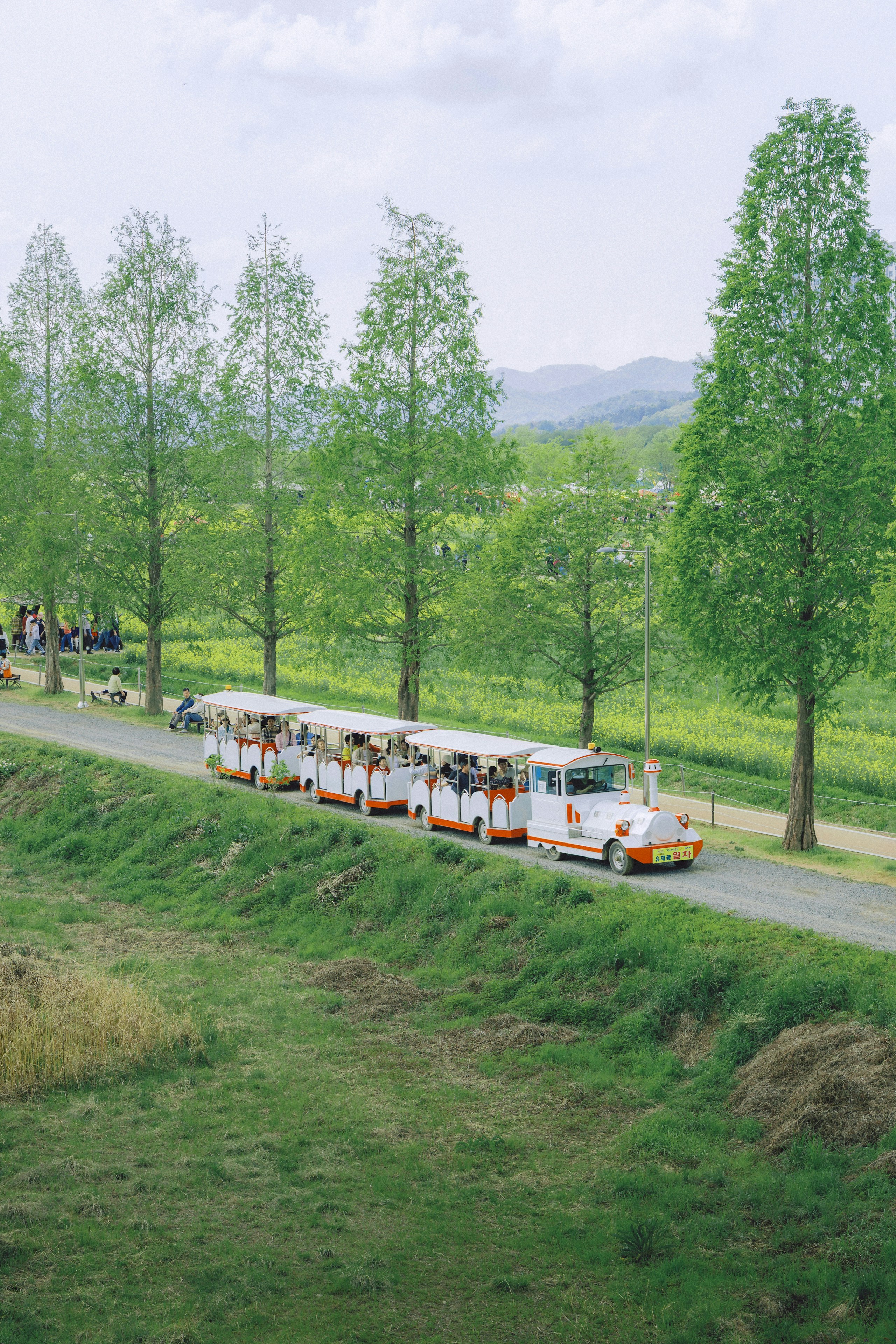 2026-05-scenery-of-that-day-once-more-image-12