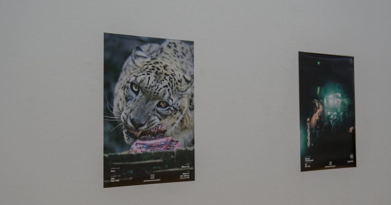 2025-04-ppp-review-by-hiro-cover-image