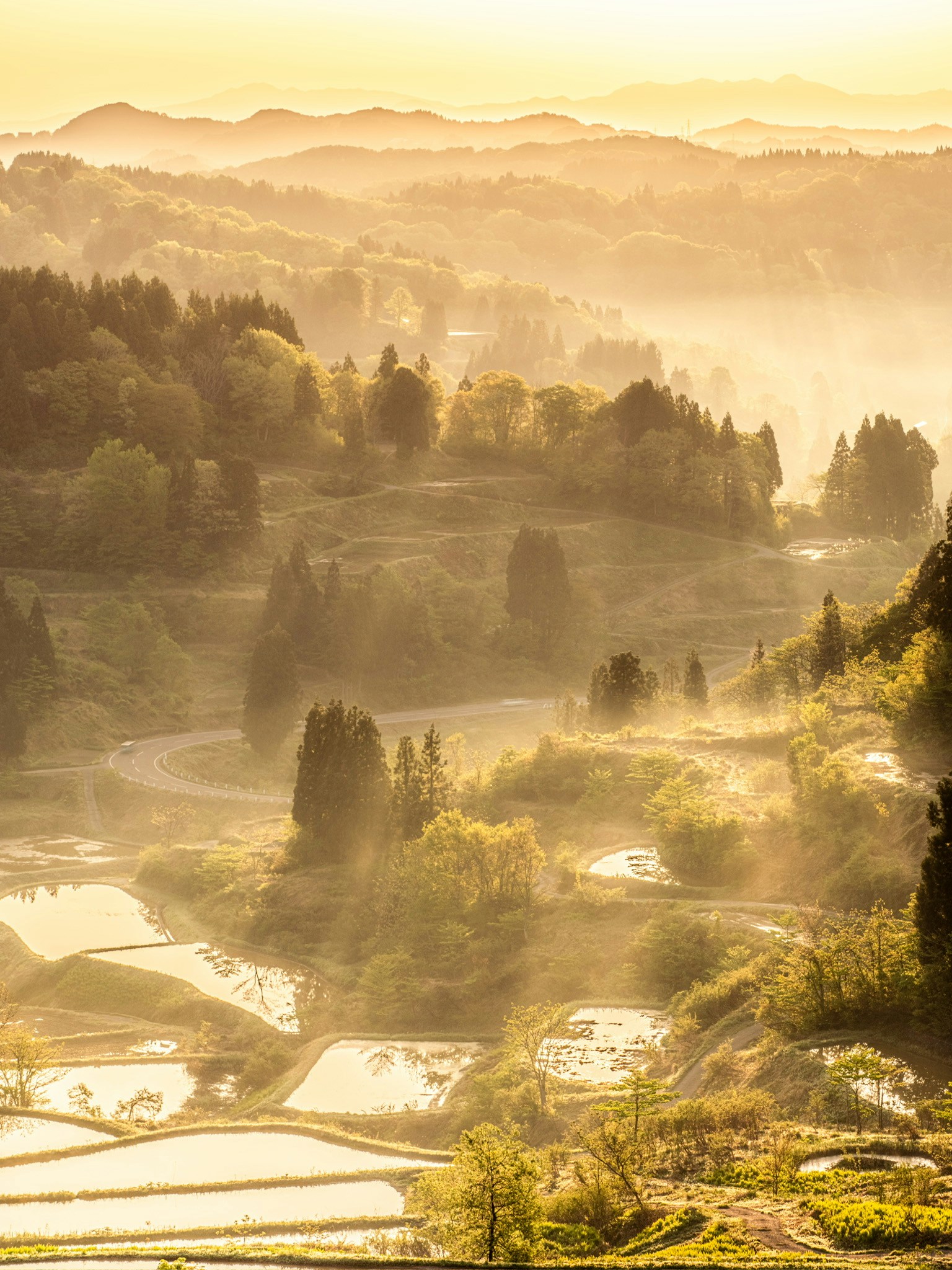 2024-06-spring-landscape-award-image-8