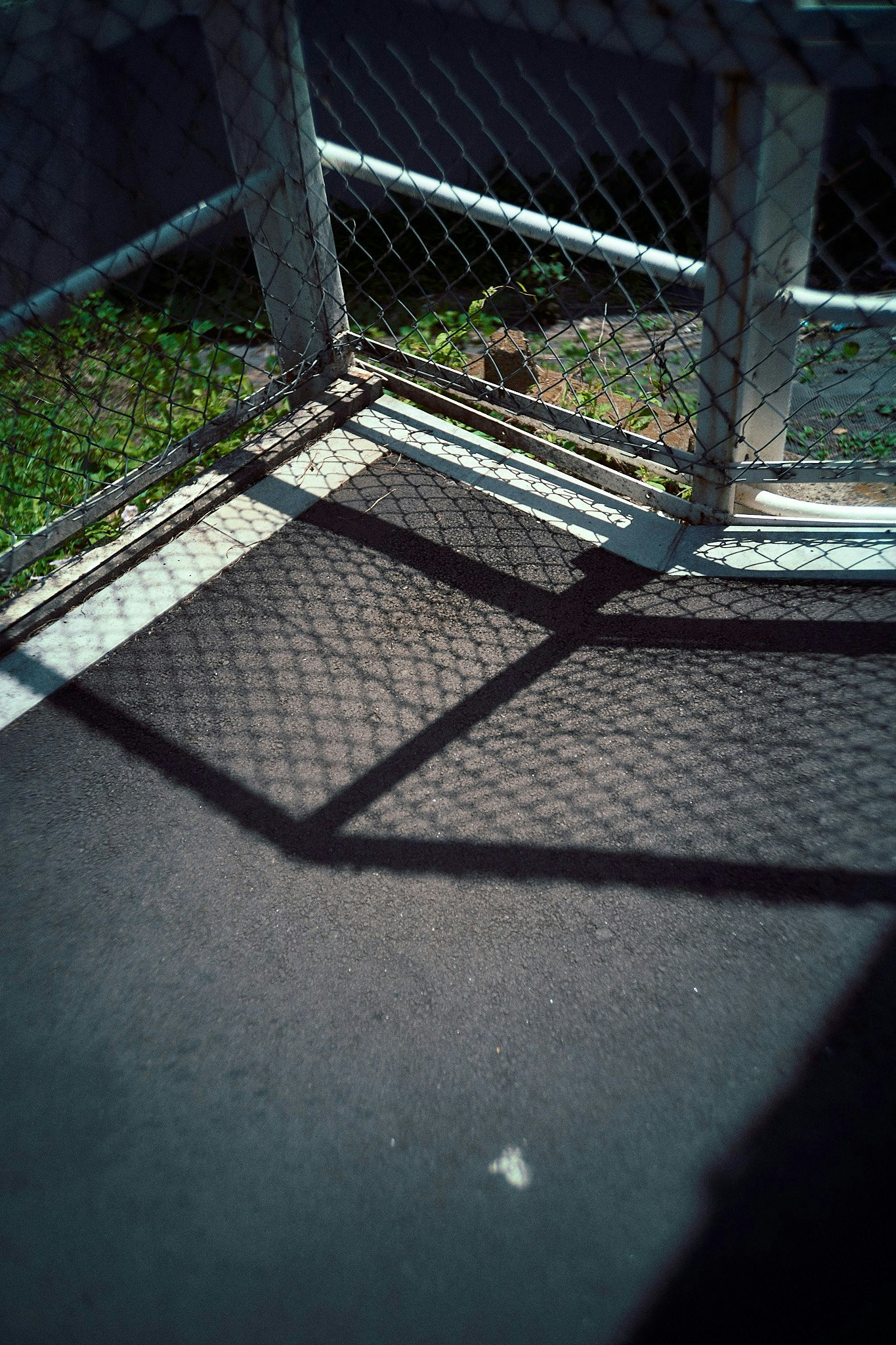 2025-05-shadow-report-image-9