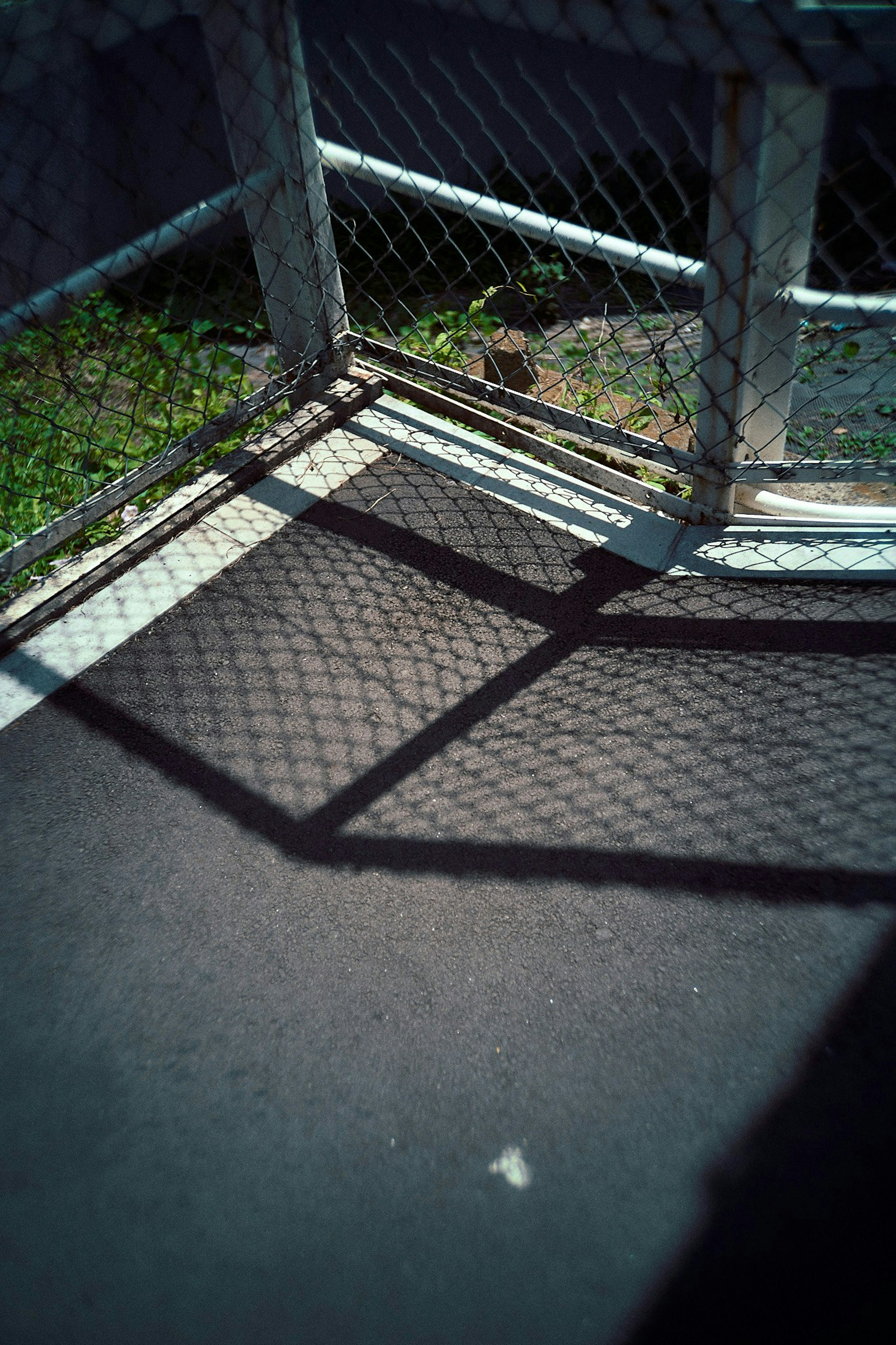 2025-05-shadow-report-image-9