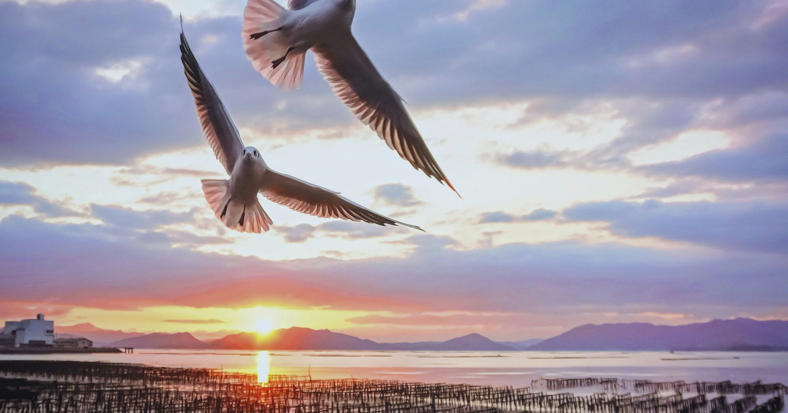 The Power to Capture the Moment: How Stacked CMOS Sensors Work | Knowledge #255
