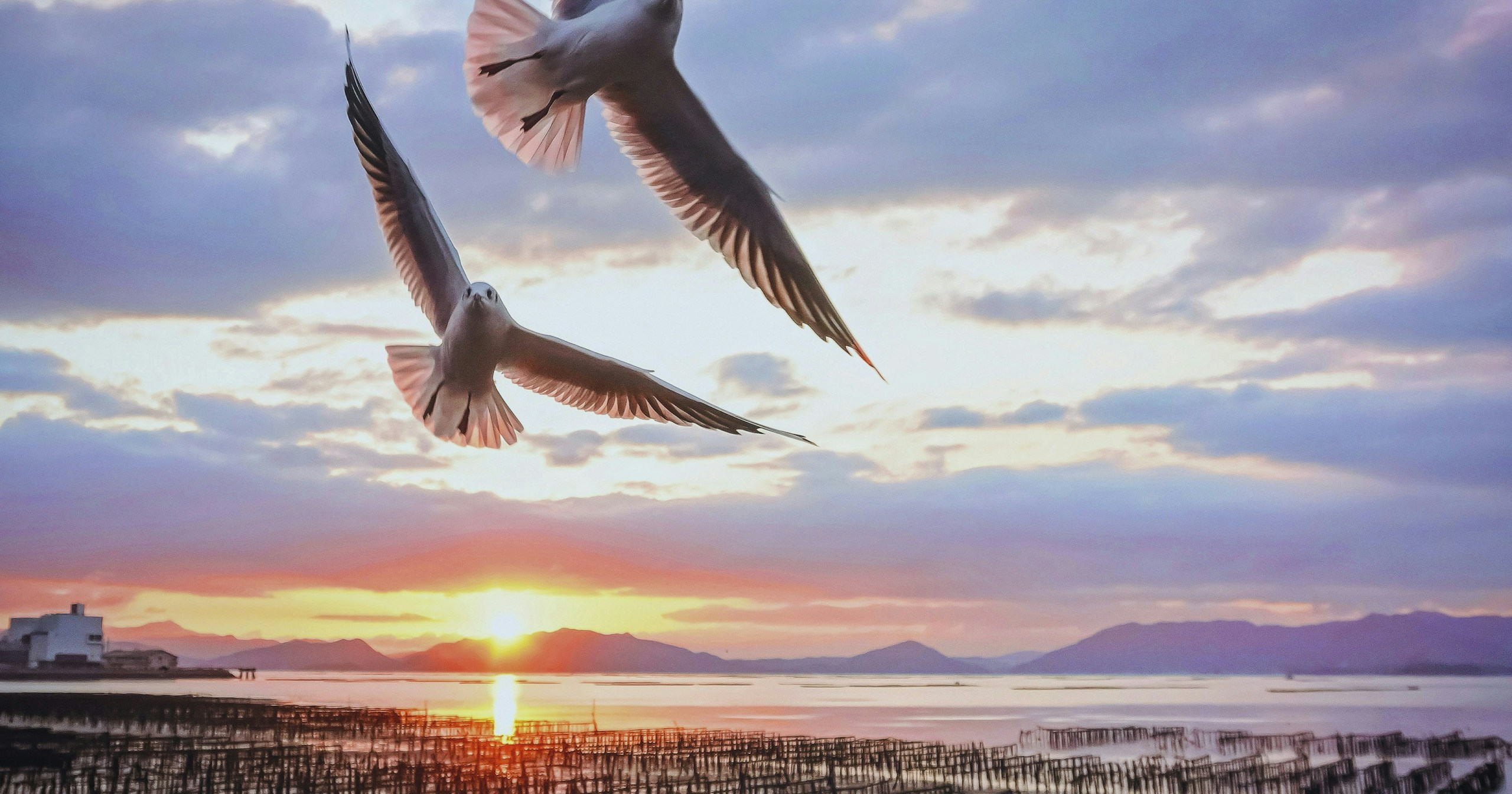 The Power to Capture the Moment: How Stacked CMOS Sensors Work | Knowledge #255