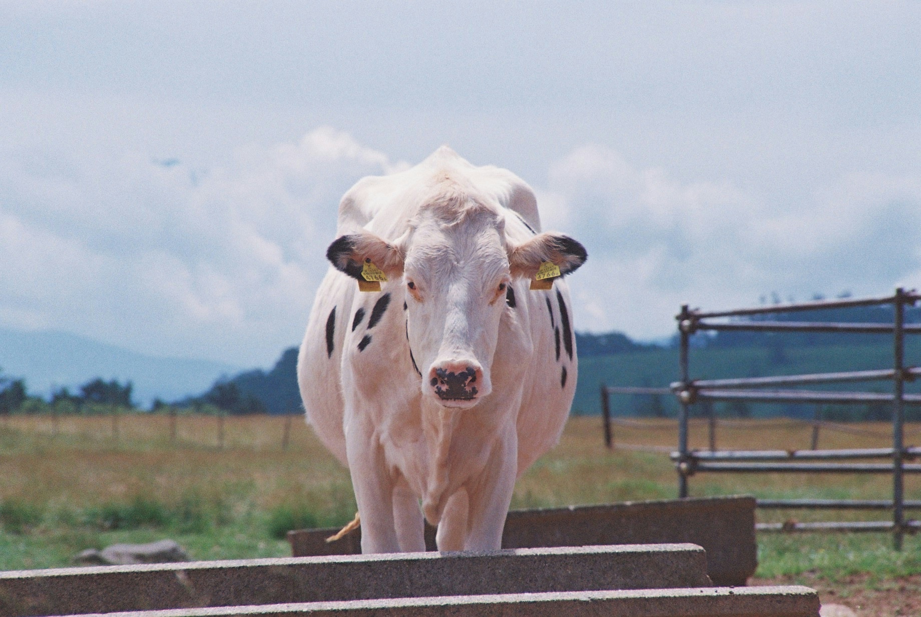 2026-01-find-new-pieces-cover-image