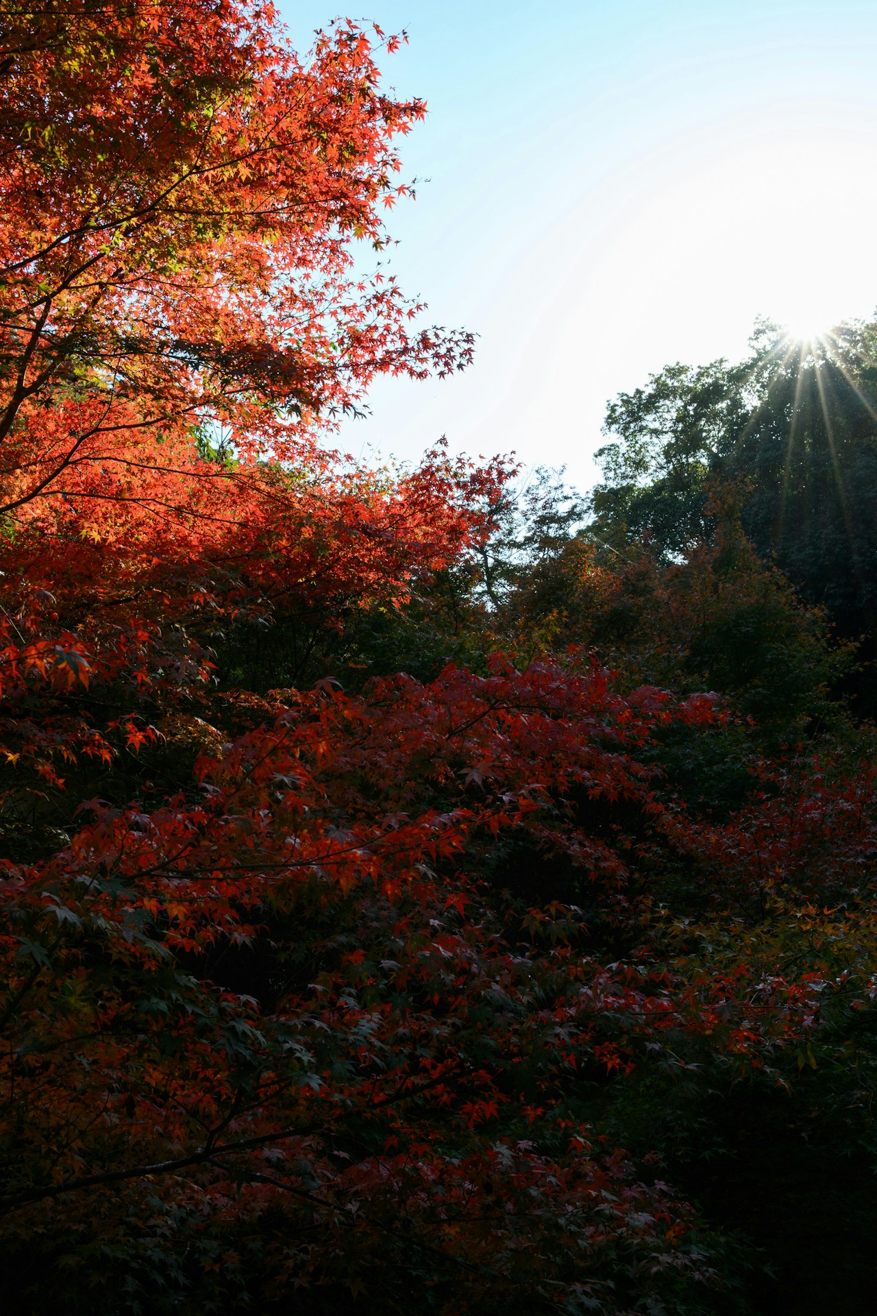 Photo by masa