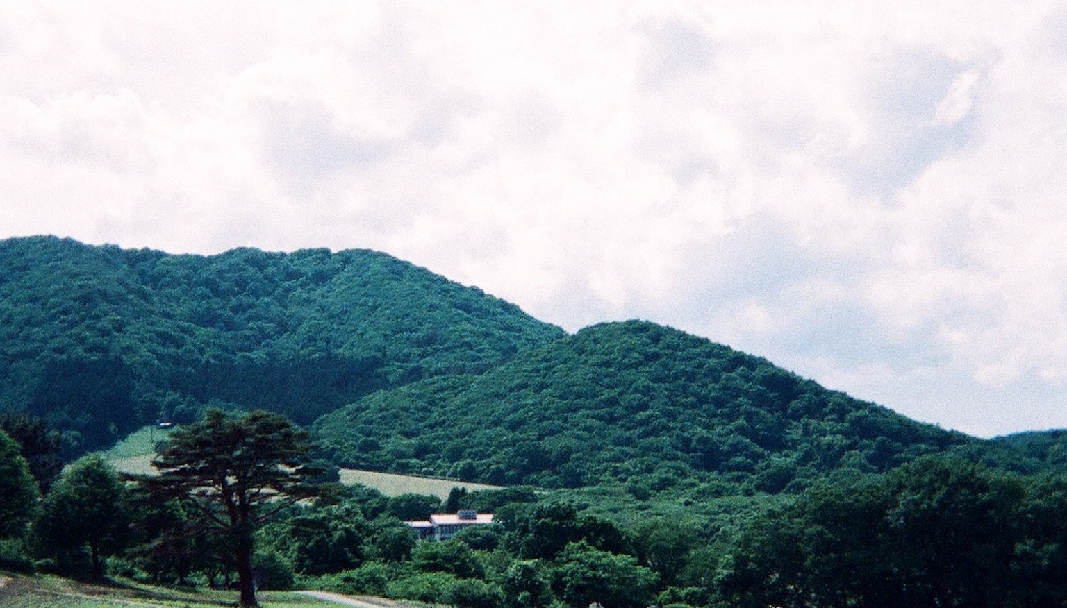 2024-07-utsurundesu-image-14