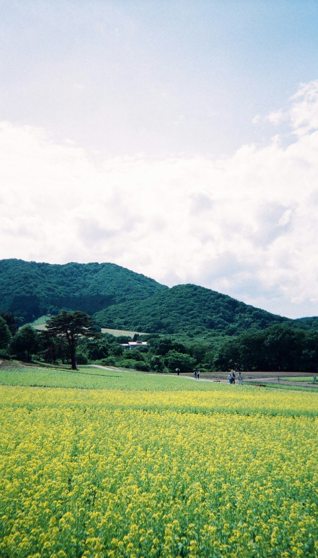 Image by かまつた