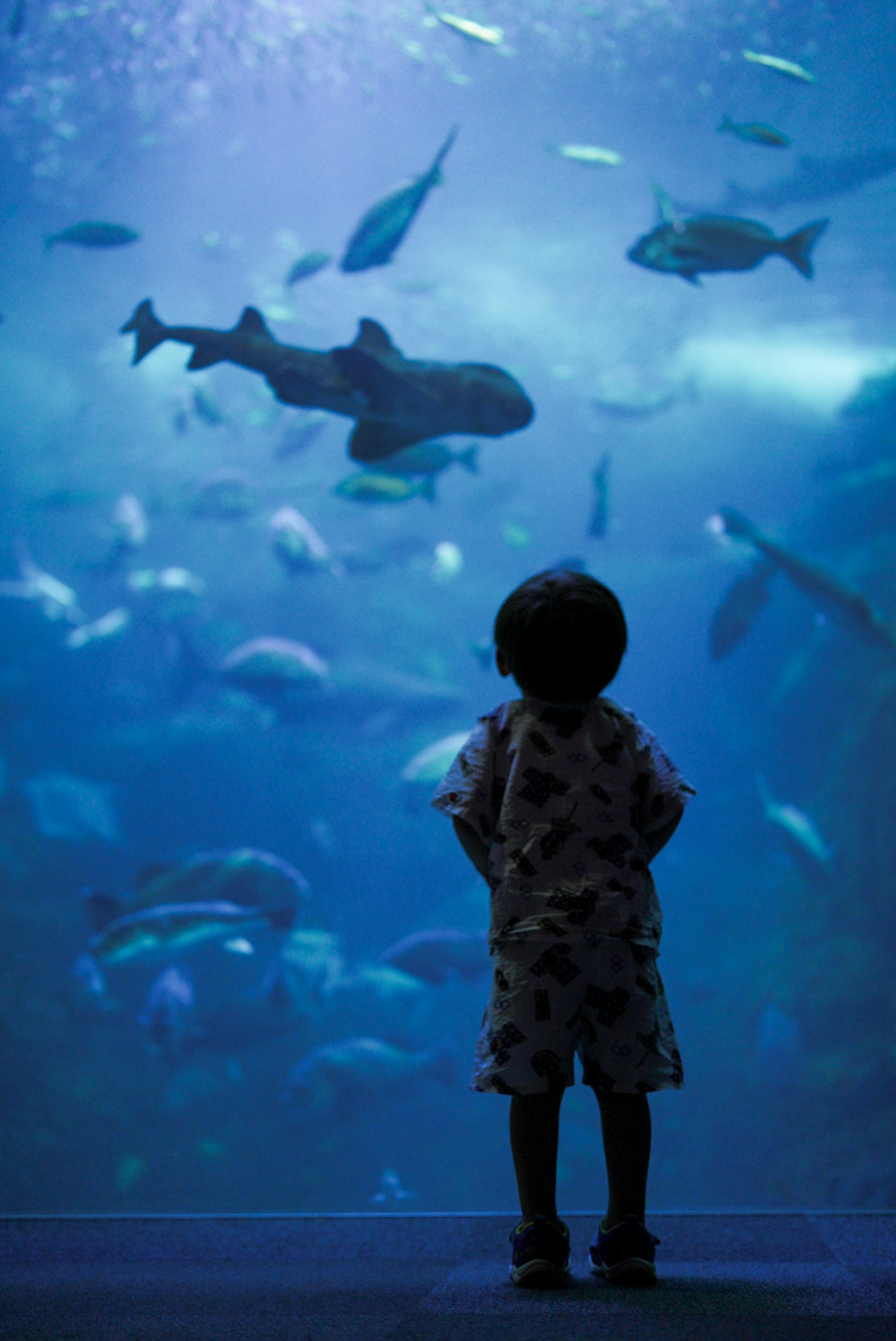 2024-10-aquarium-photography-image-2