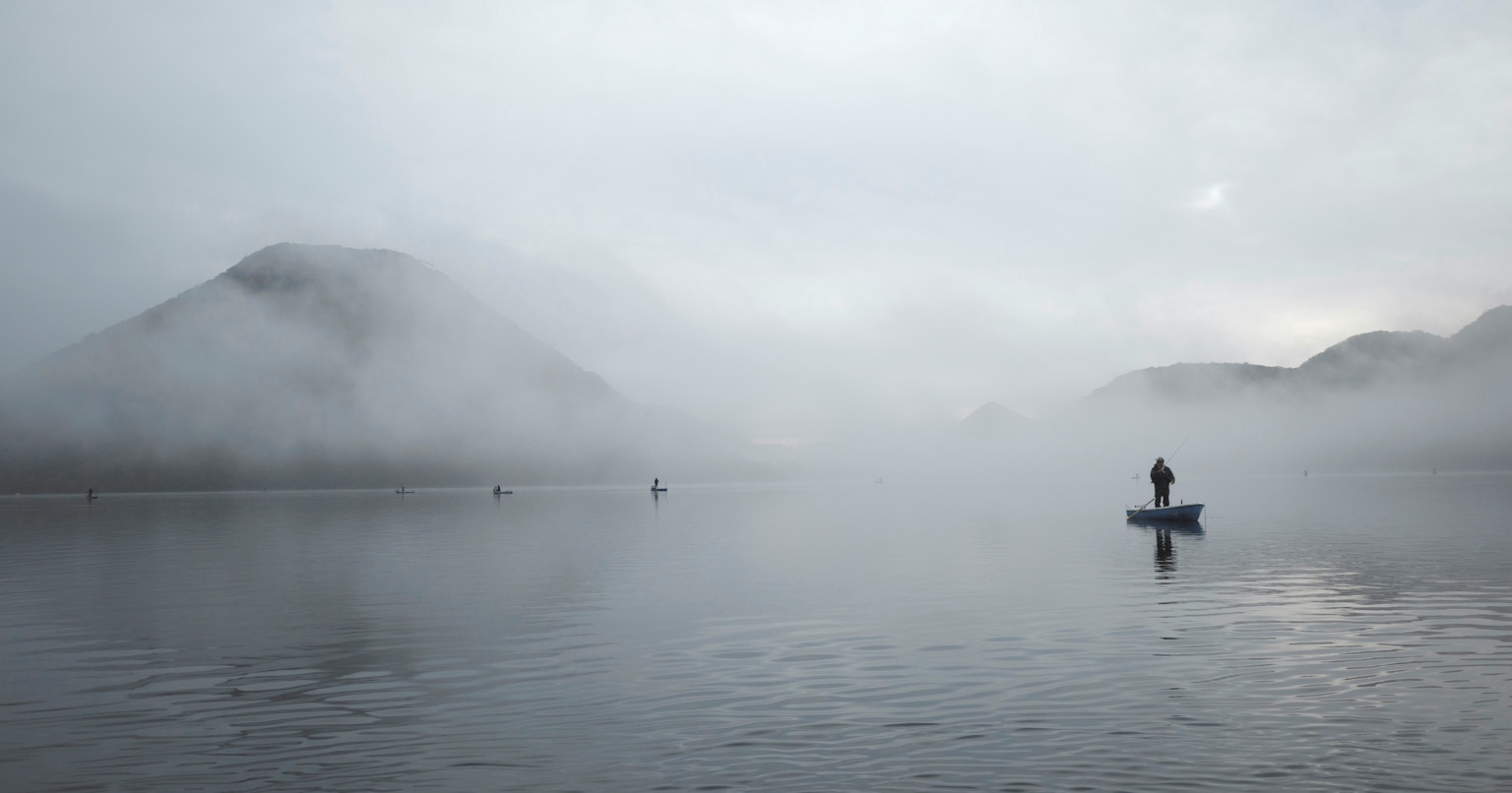 2025-01-white-collection-award-cover-image