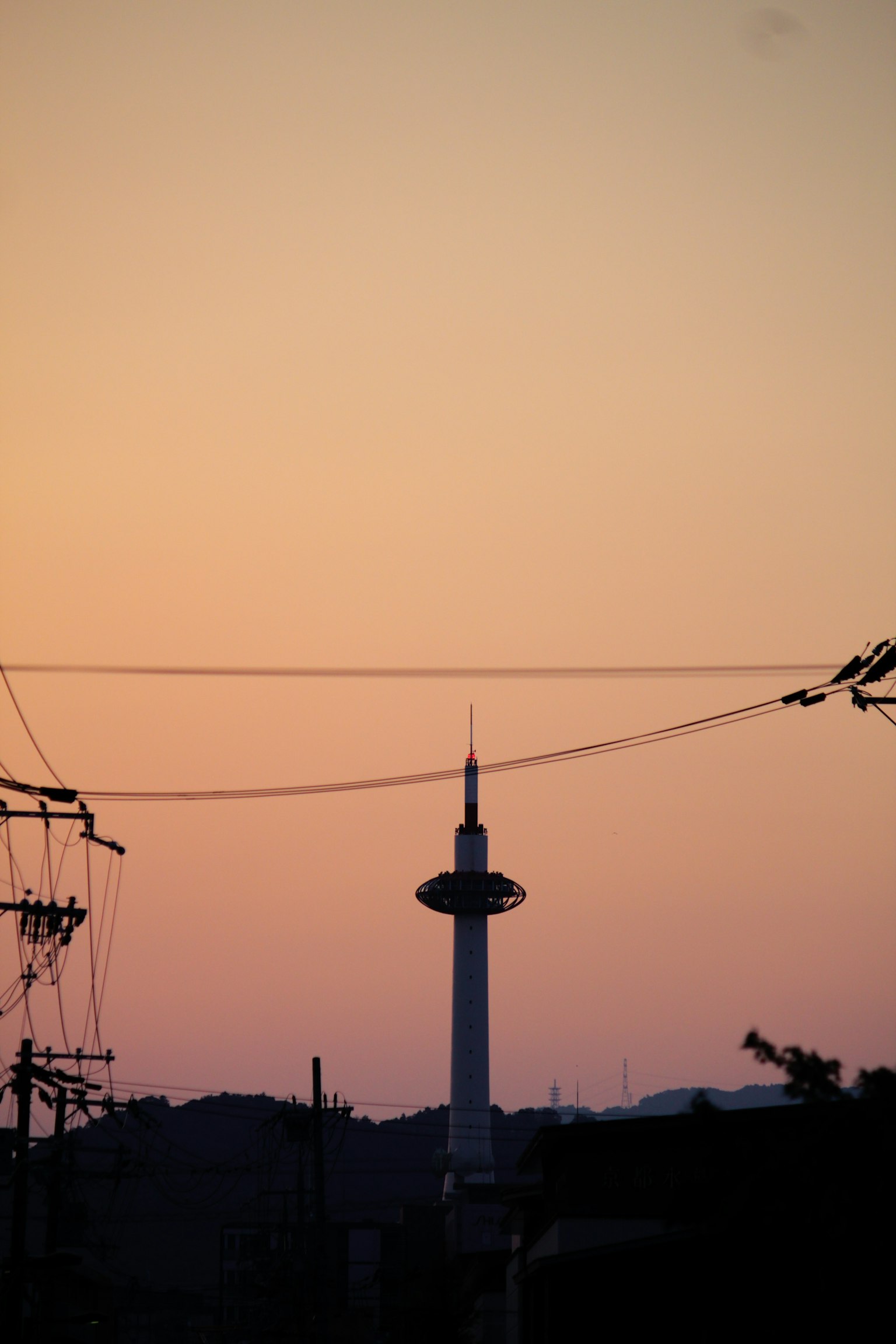 2024-03-5tips-for-night-snap-image-20