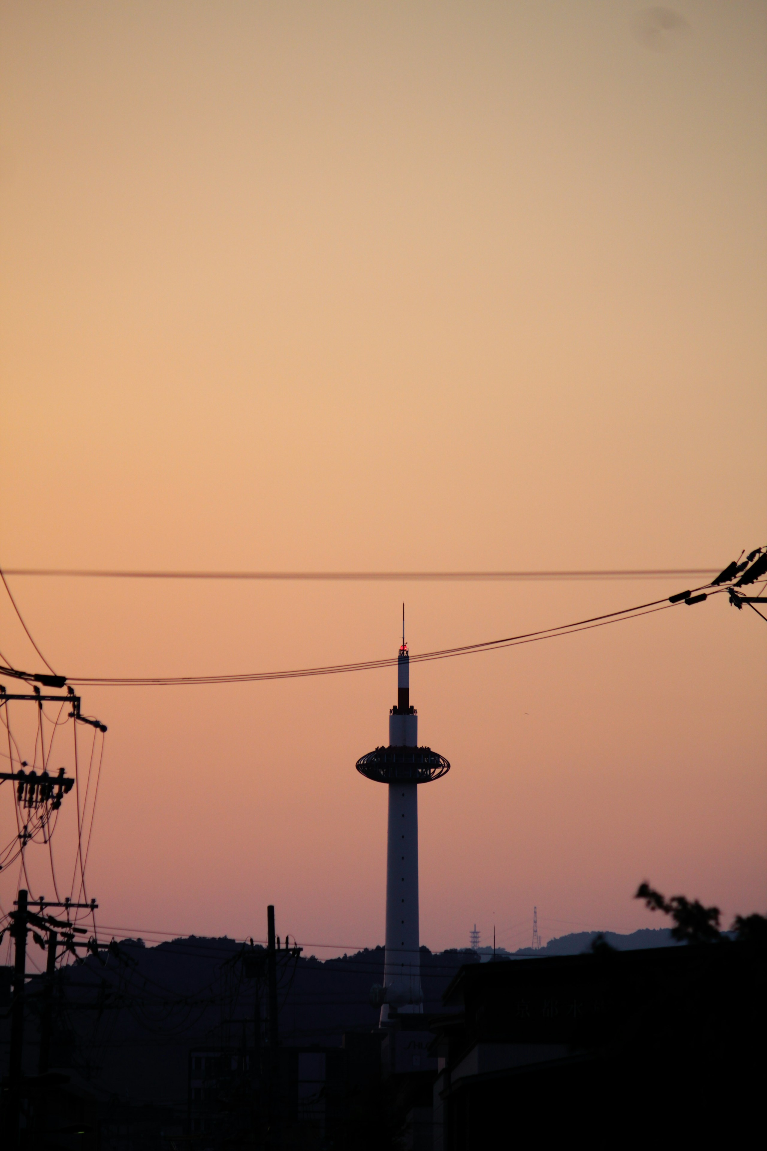 2024-03-5tips-for-night-snap-image-20