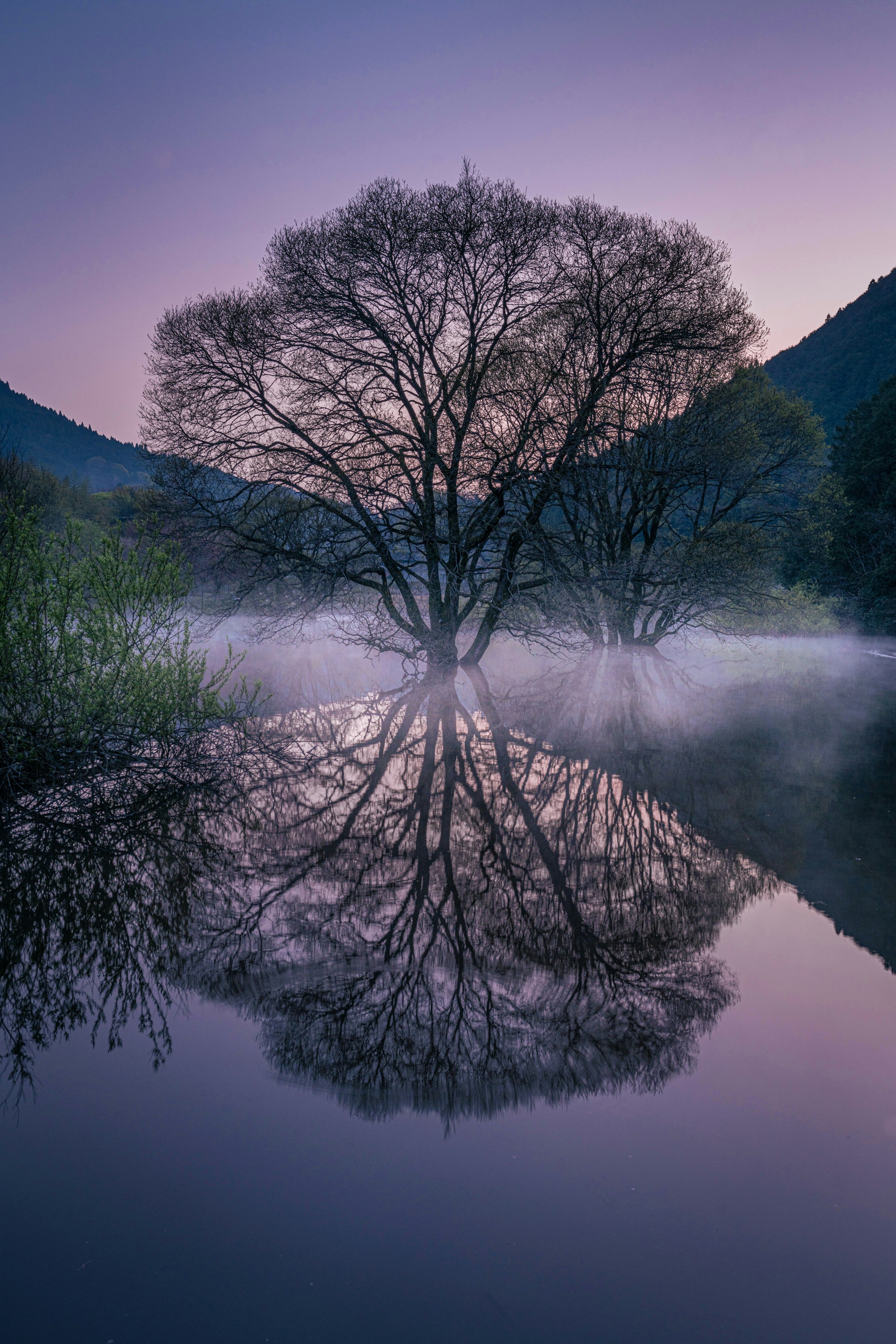 Image by noliette