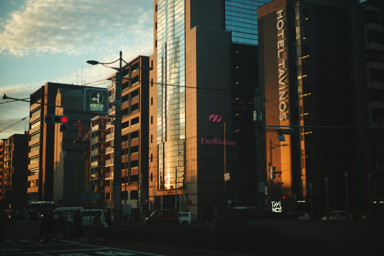 2024-11-color-comparison-film-digital-image-5