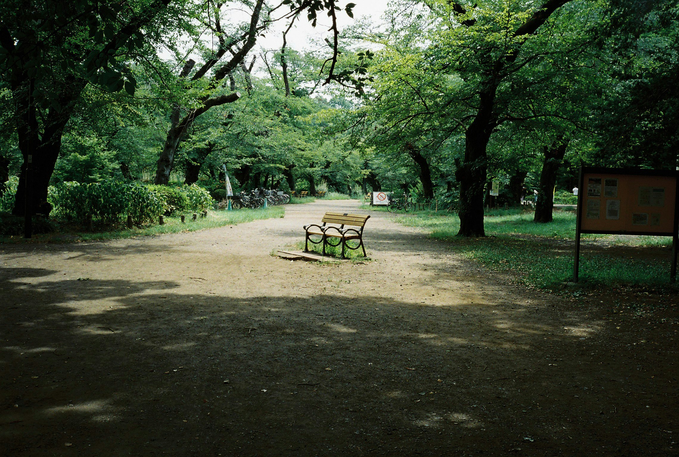 2026-02-flickr-trends-22nd-anniversary-cover-image