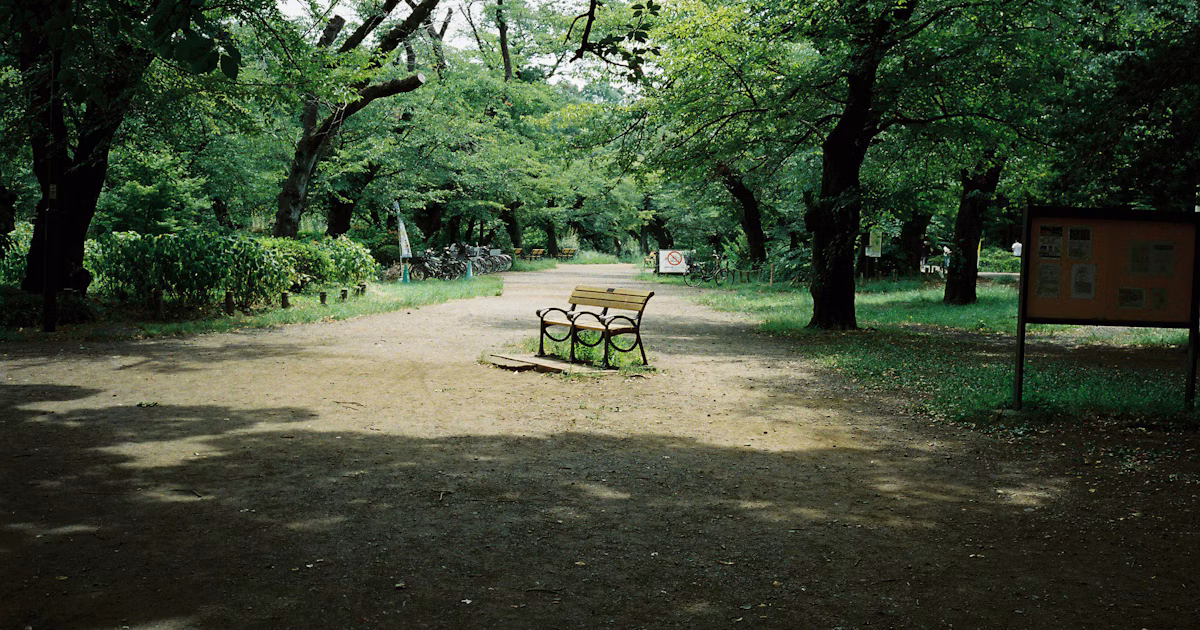 22주년 Flickr 데이터가 보여주는 ‘녹색’의 부상과 장비의 변화 | Focus #615