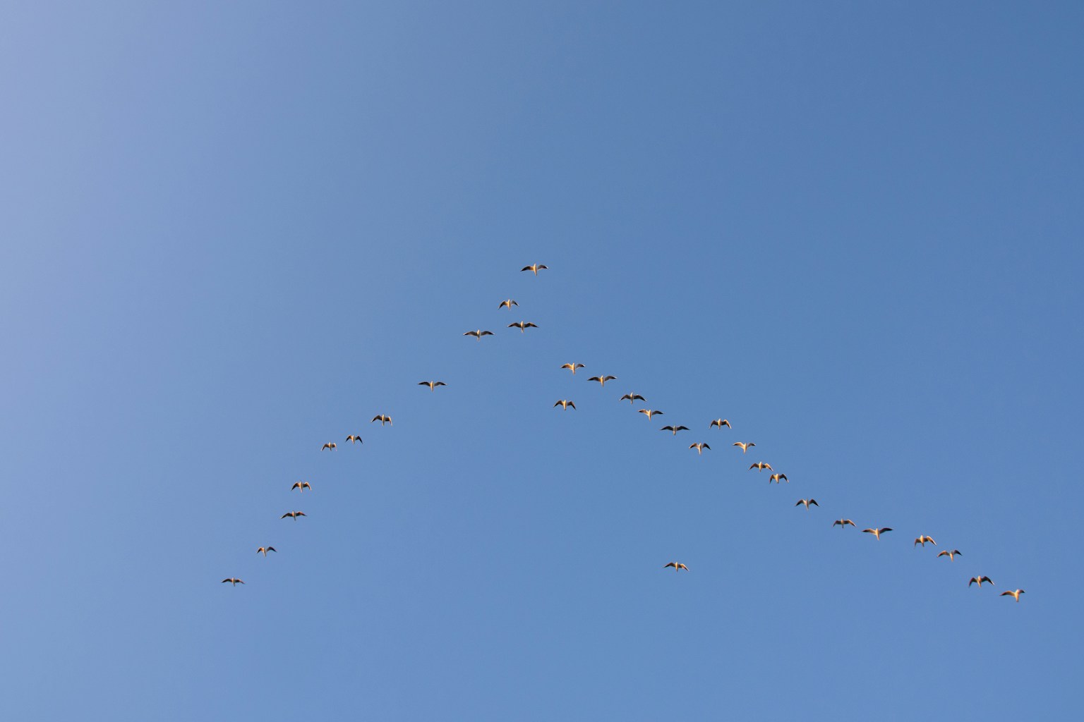 2024-10-pattern-composition-image-12