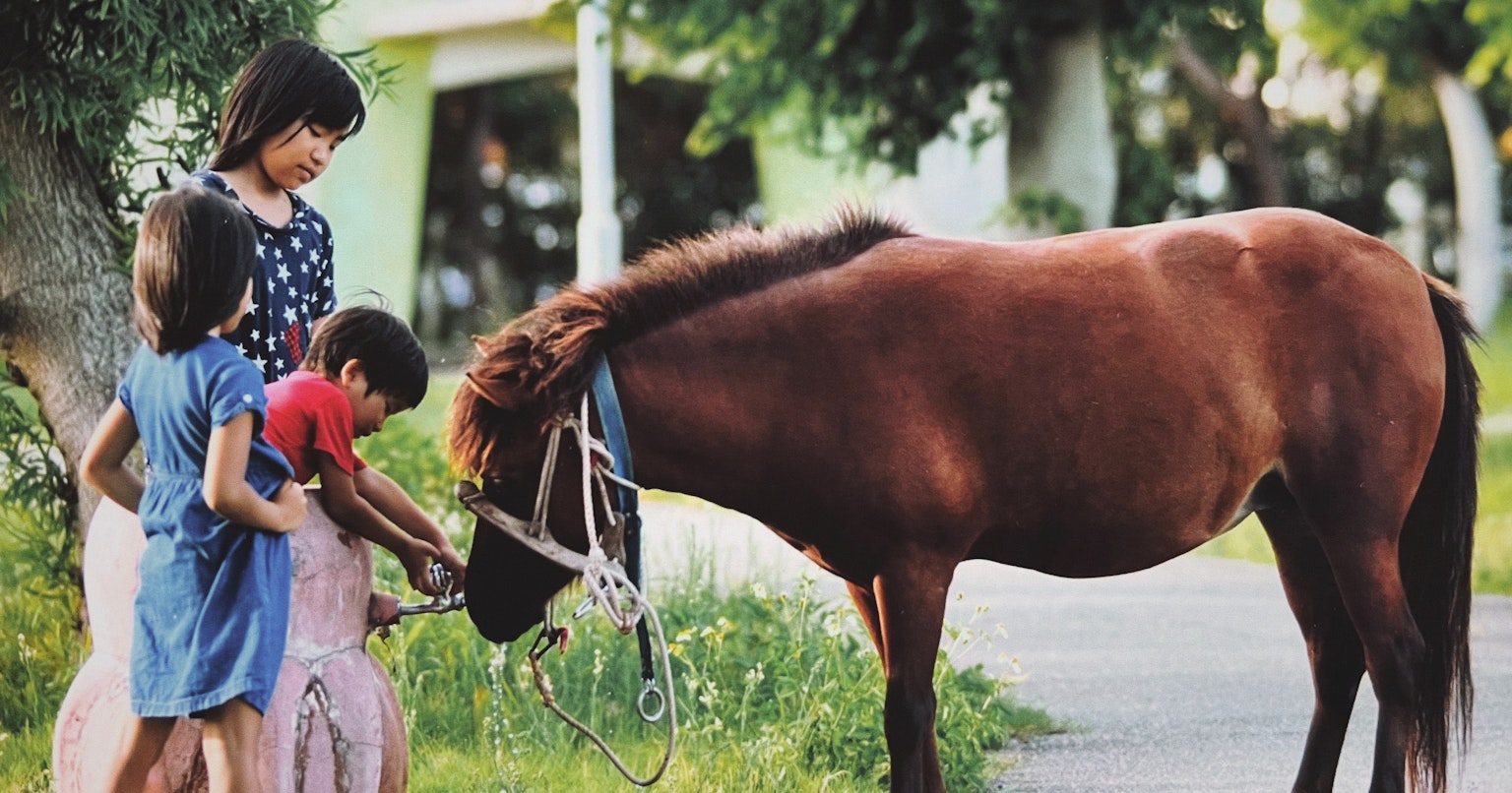 2024-08-animal-report-cover-image