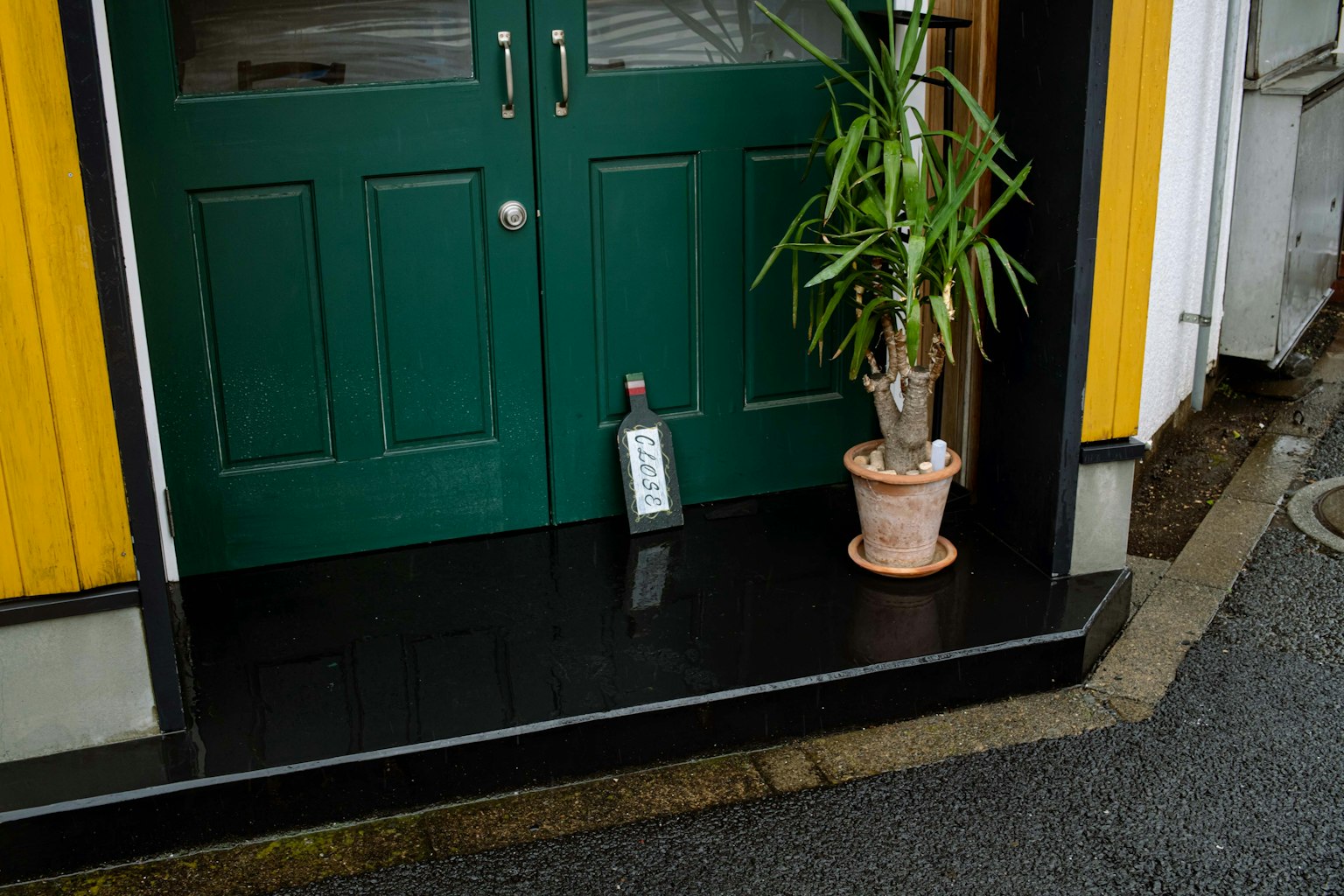 2024-05-fall-into-decay-image-5