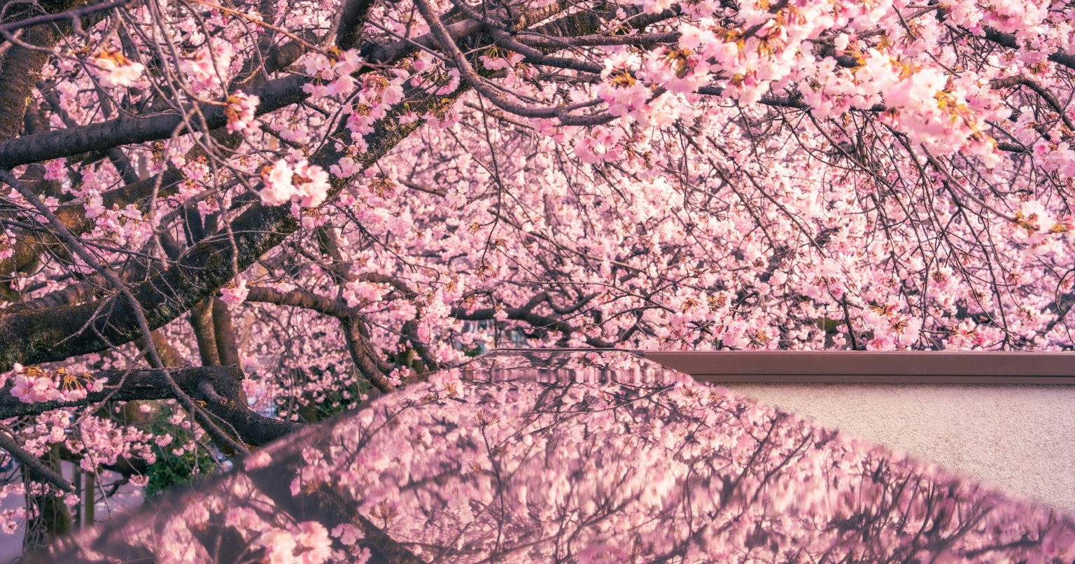 2025-03-spring-swing-cover-image