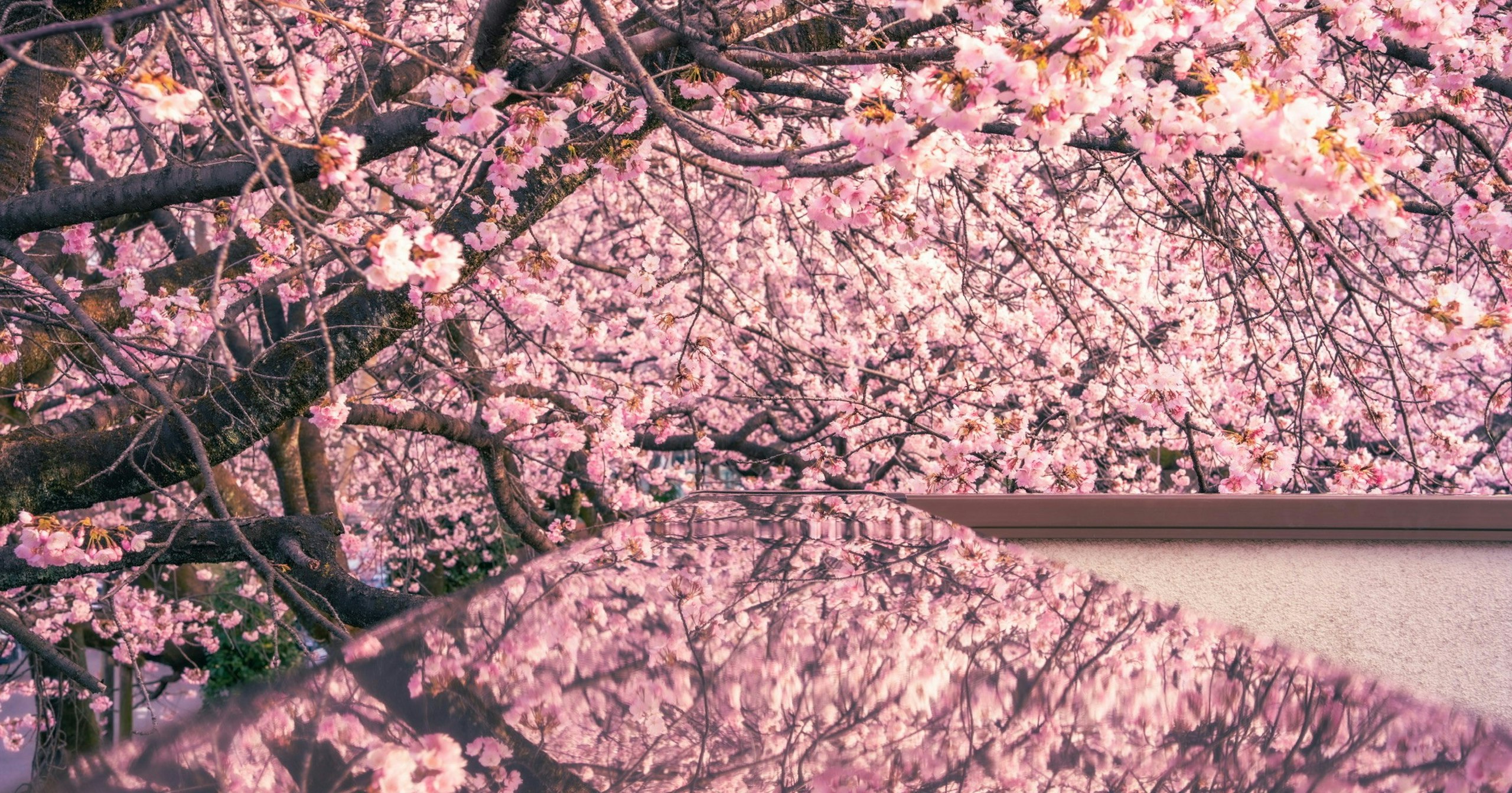 2025-03-spring-swing-cover-image