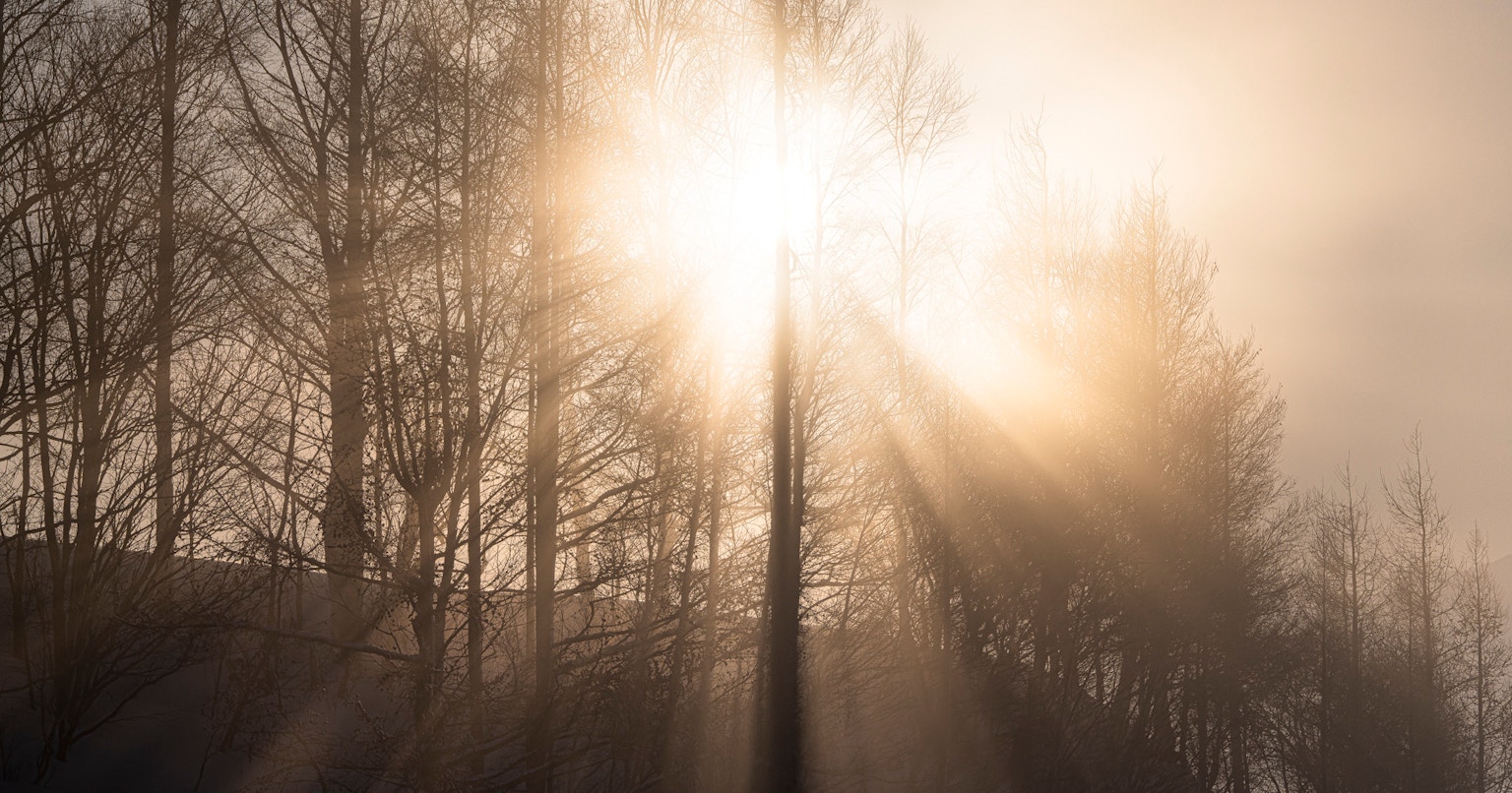 2024-08-backlight-photography-cover-image