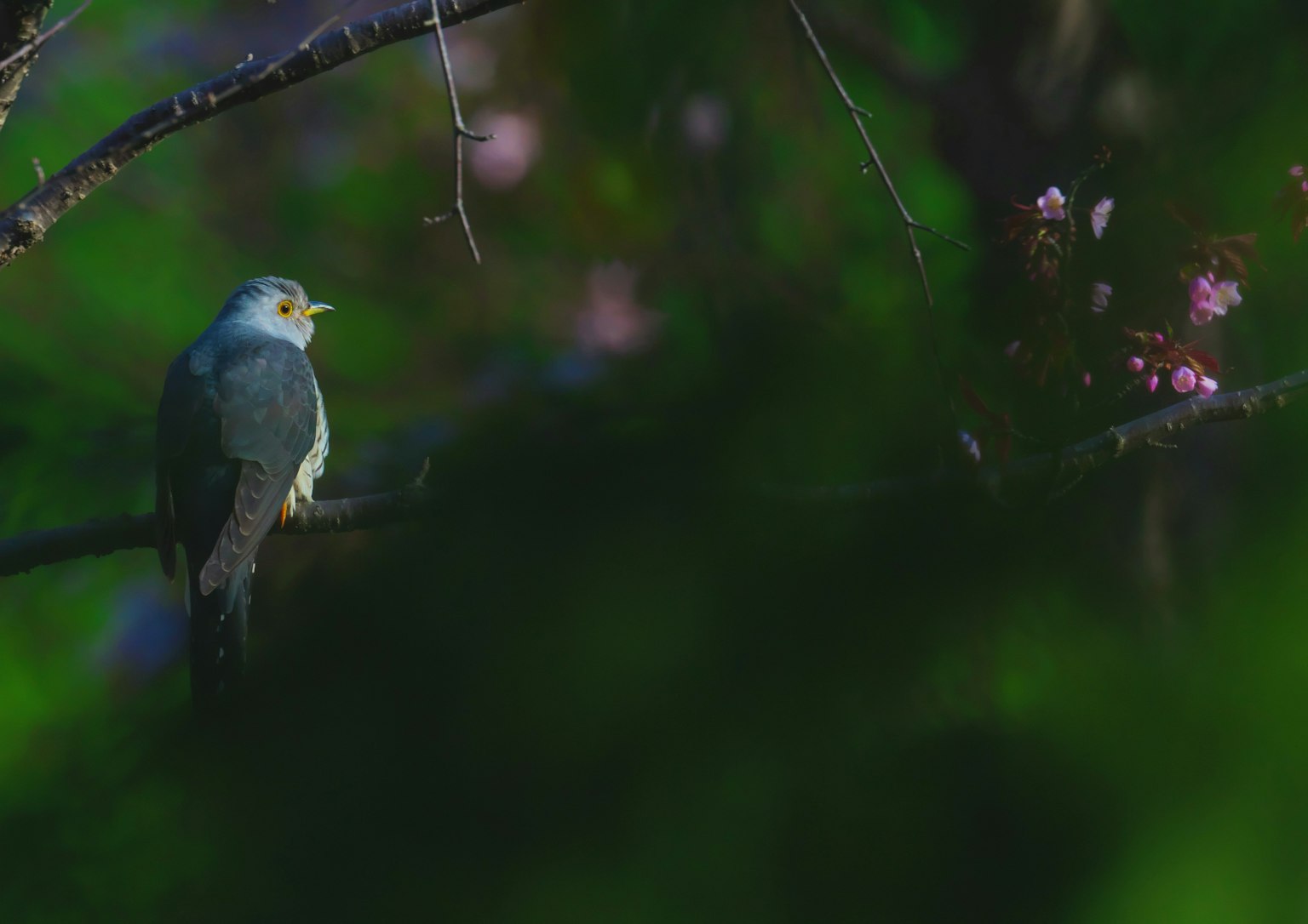 2025-10-moving-subject-photography-image-4