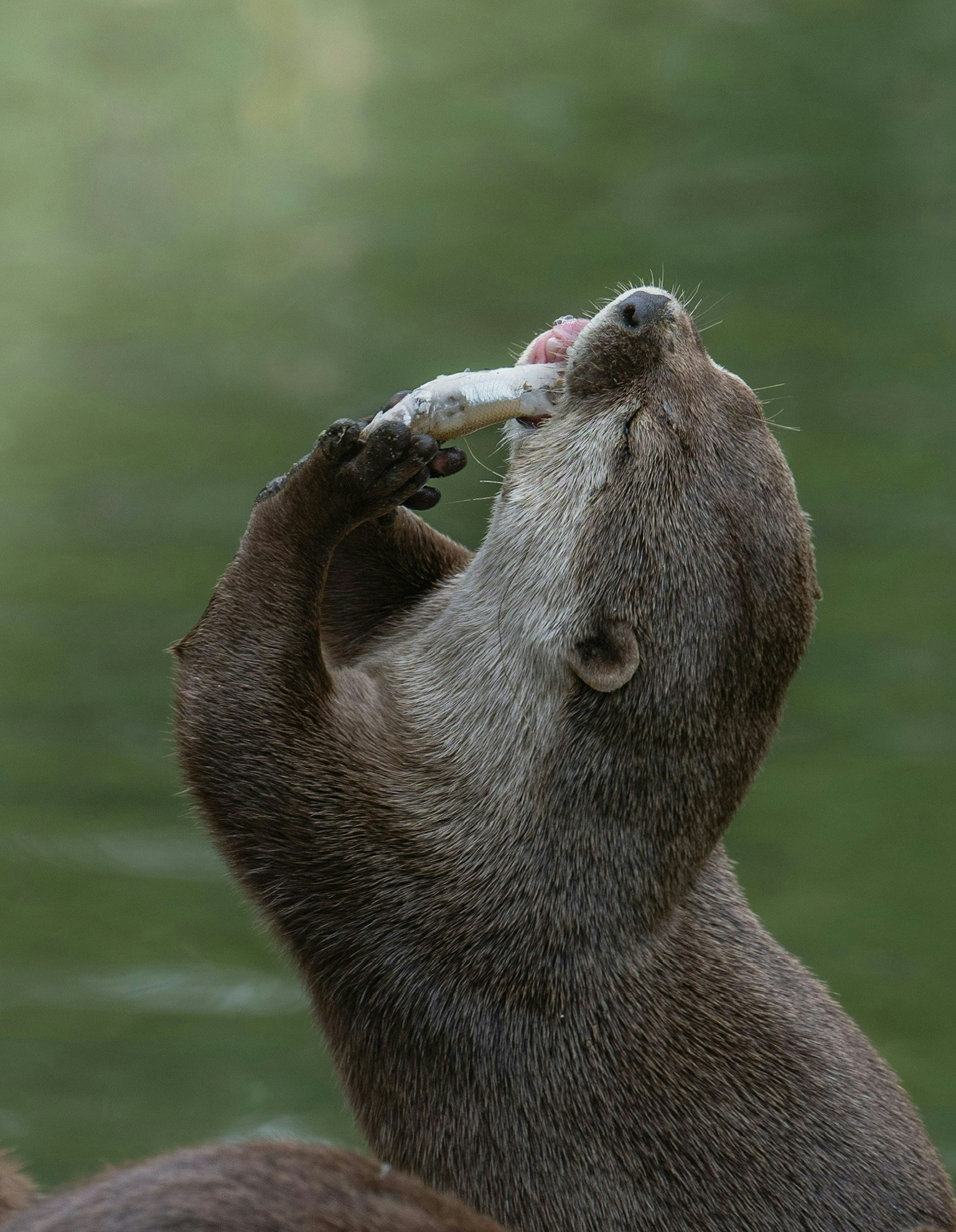 2025-04-taste-the-moment-award-image-12
