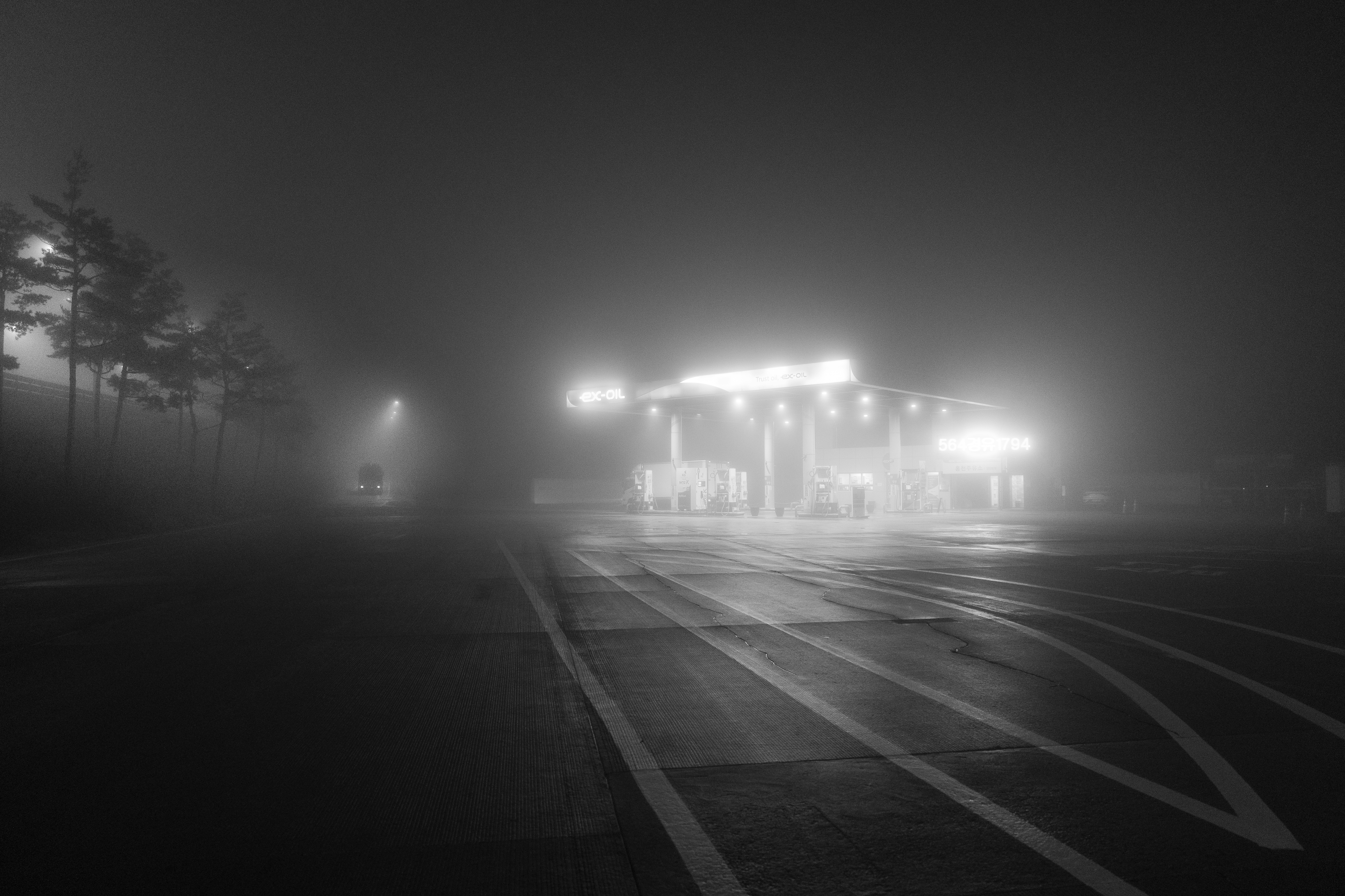 2026-05-between-light-shadow-award-image-15