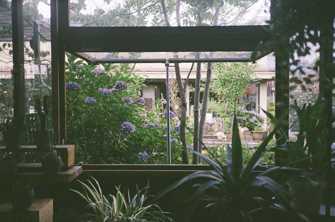 Image by yNAK